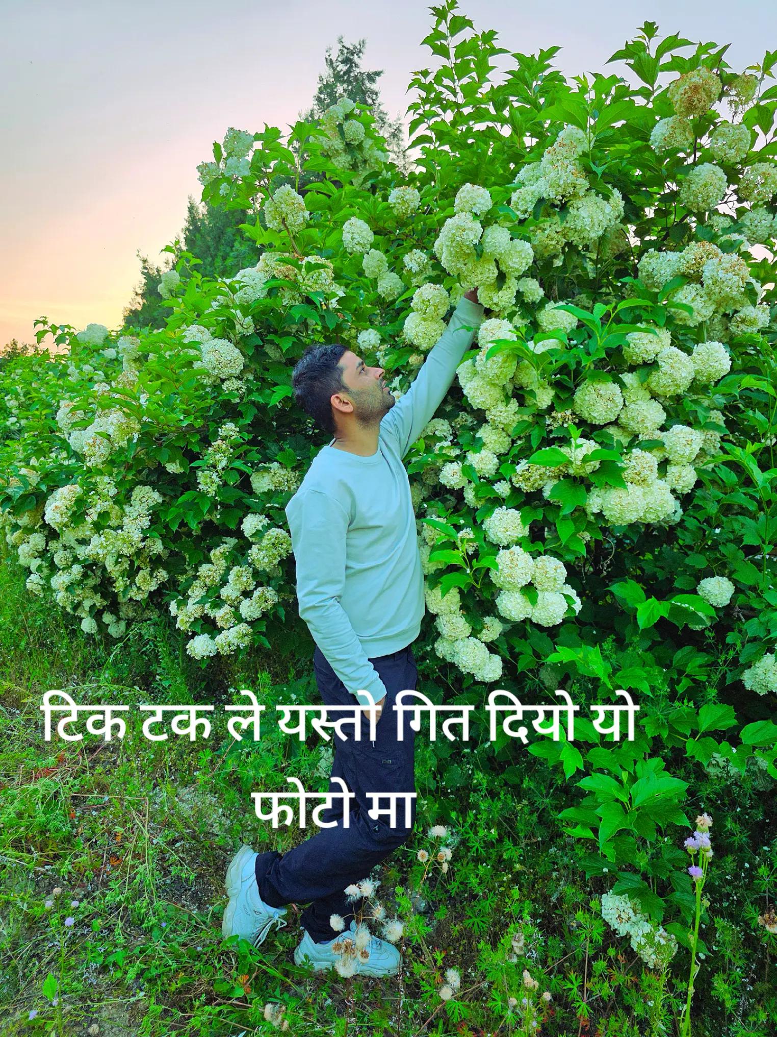 @surya_paudel123
