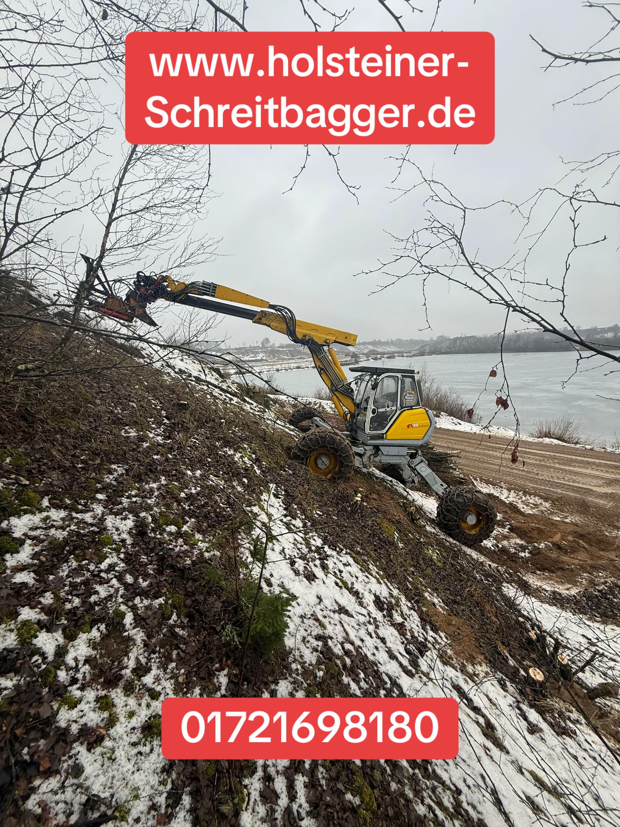 @Holsteiner_Schreitbagger