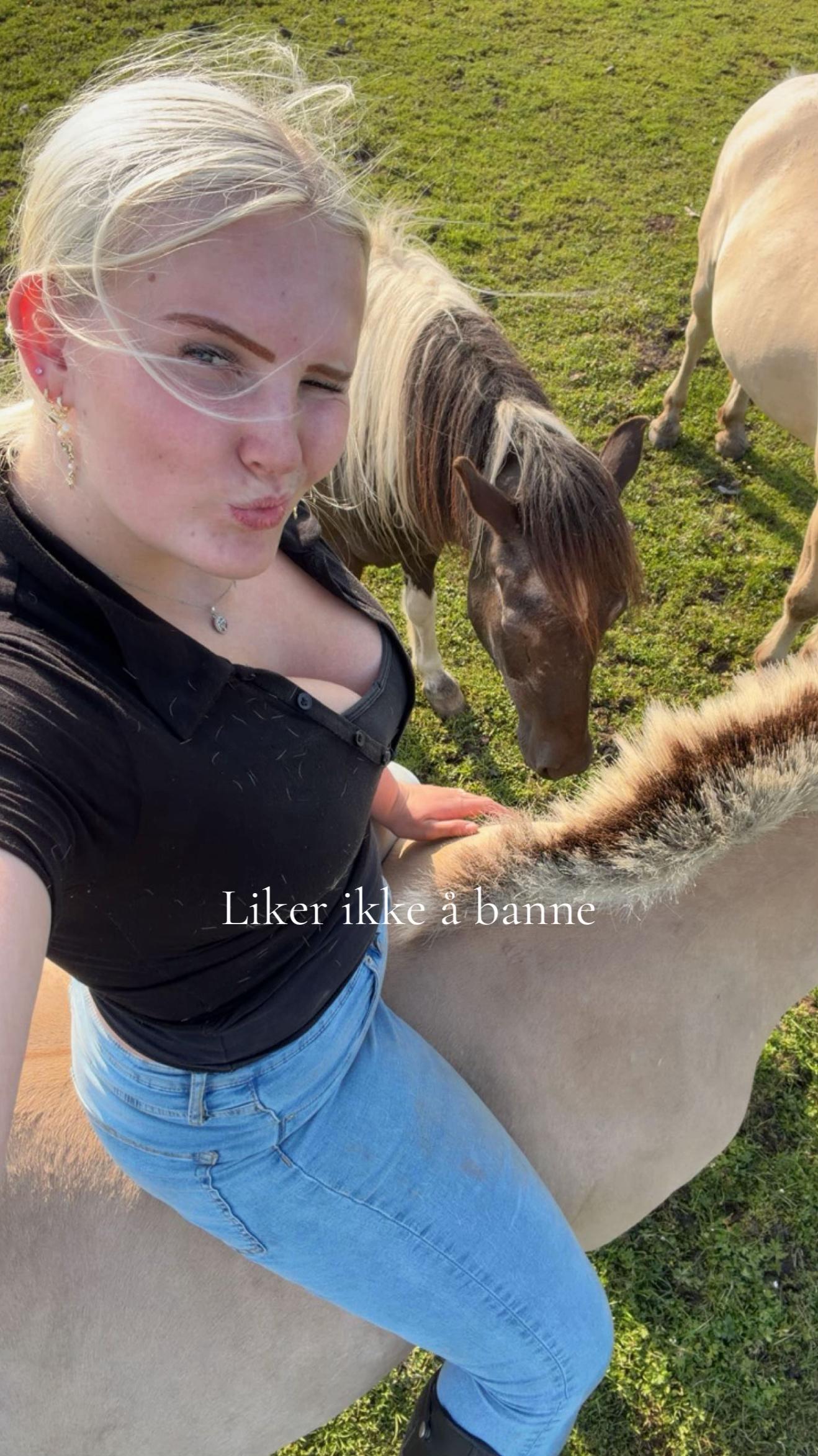 @Hanne Havik