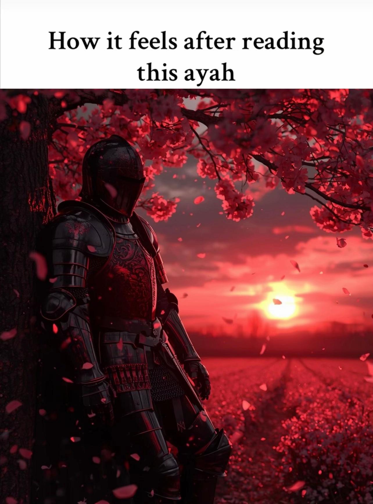 @englishtranslatedquran