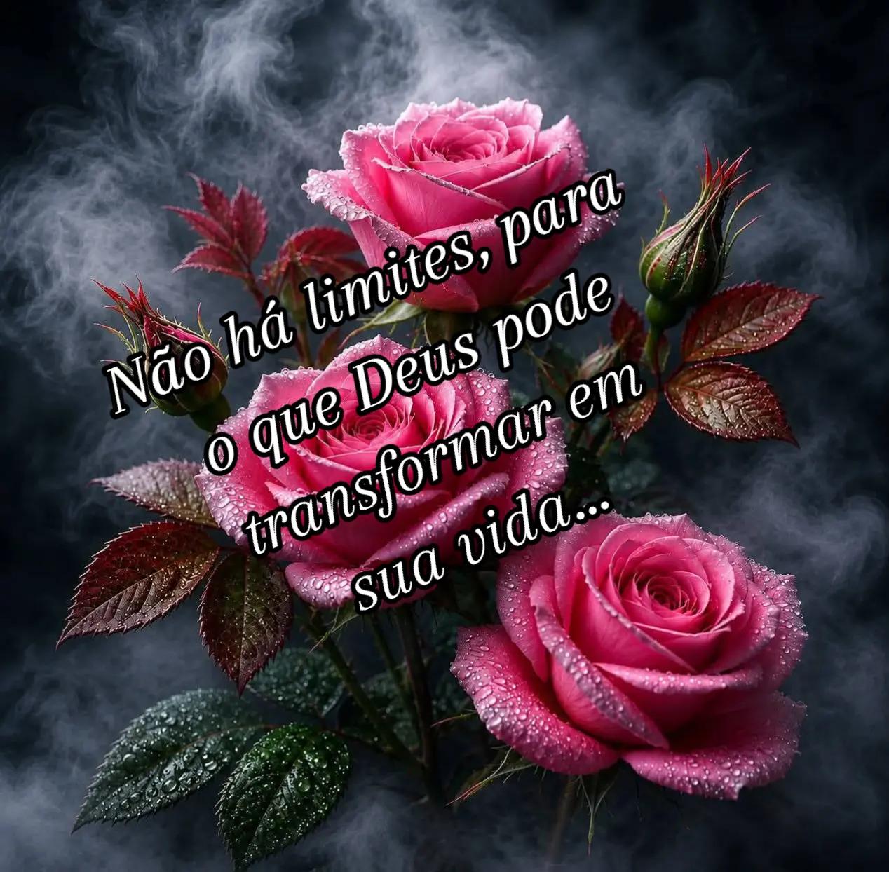 @CIDA GALV&Atilde;O A ABEN&Ccedil;OADA