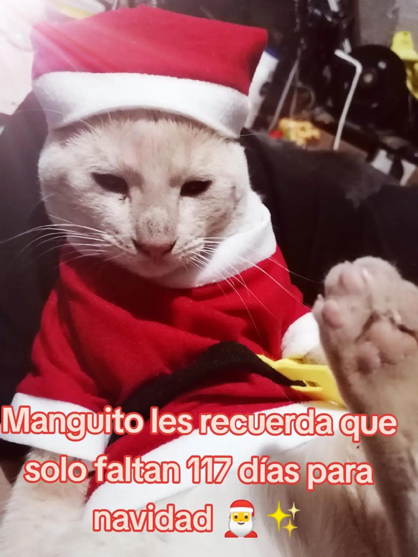@Iris Flores 24
