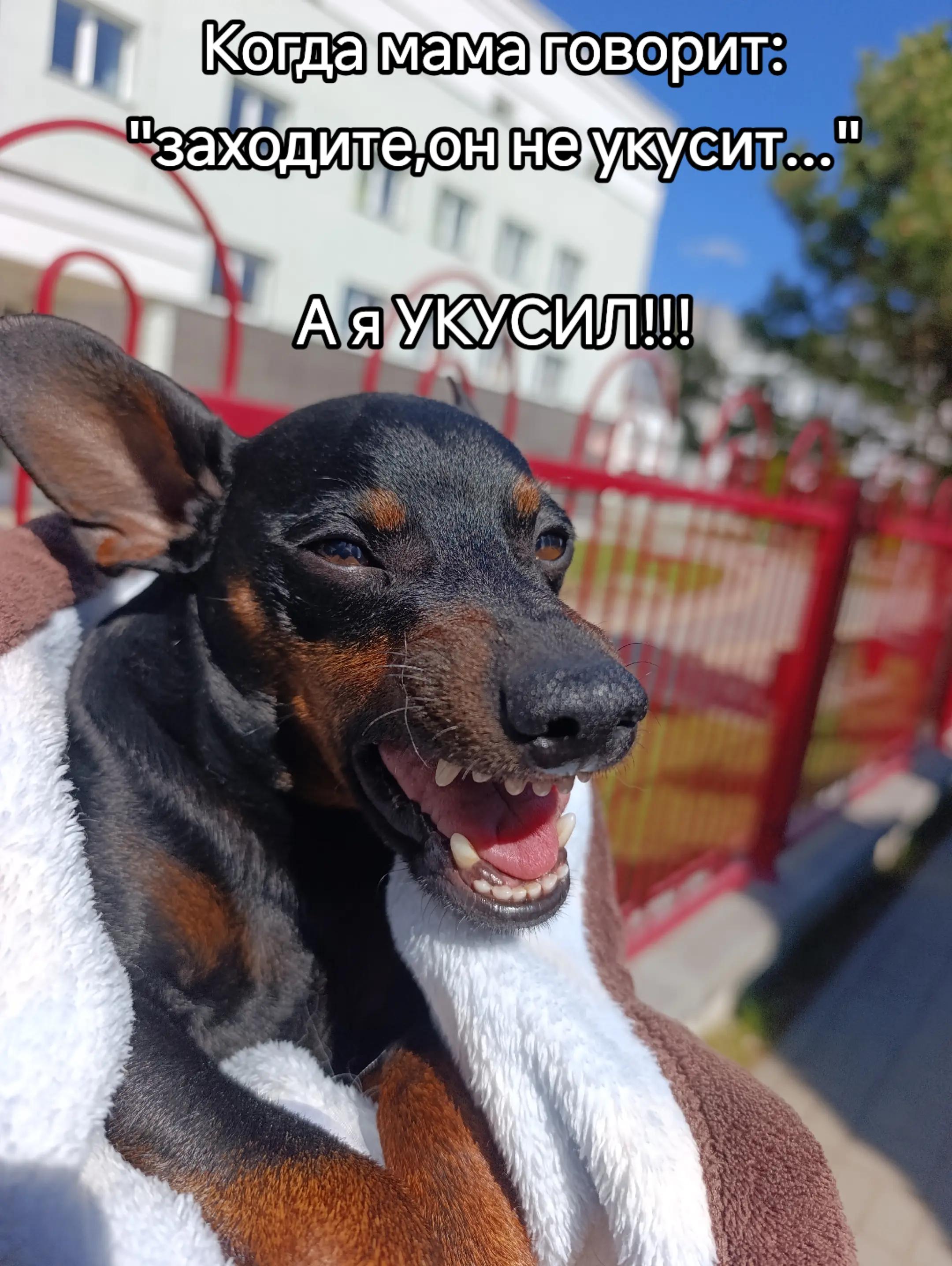 @София