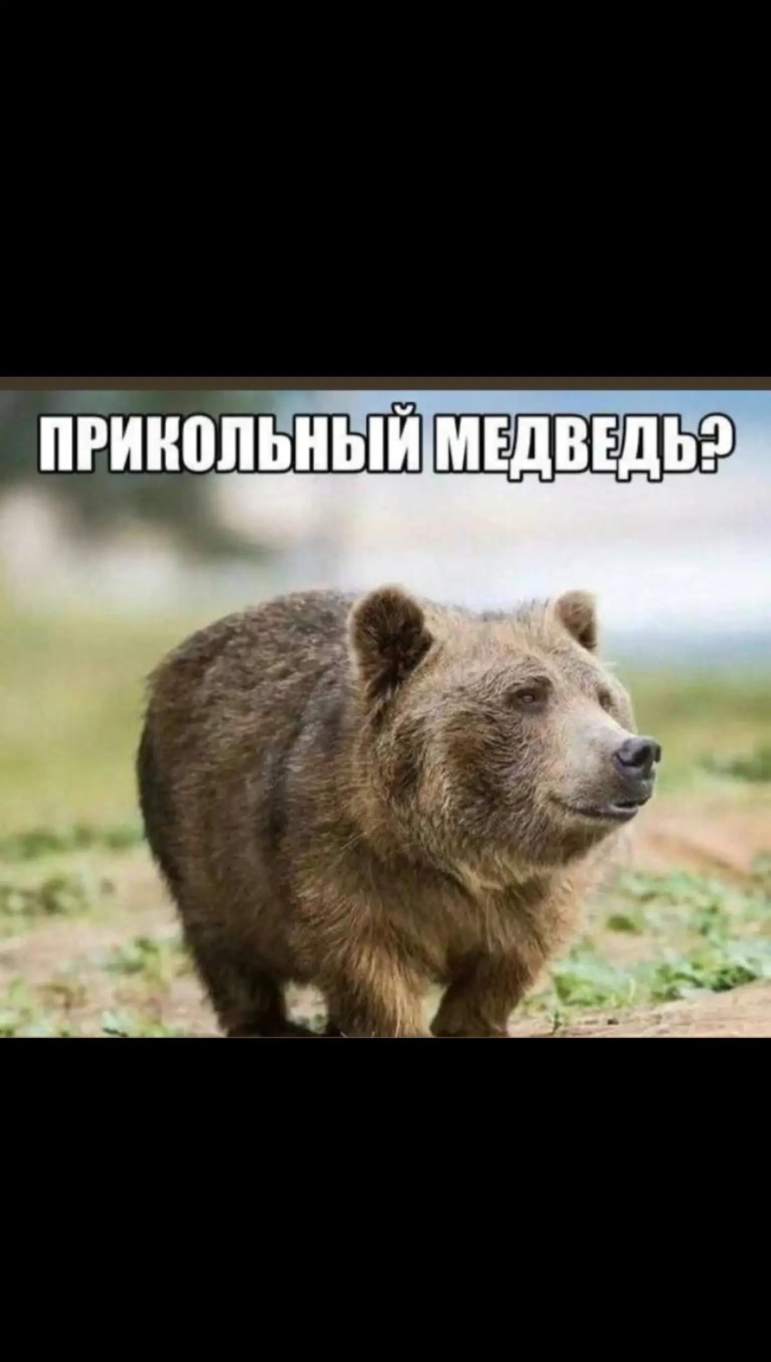 @Мистер Пиво