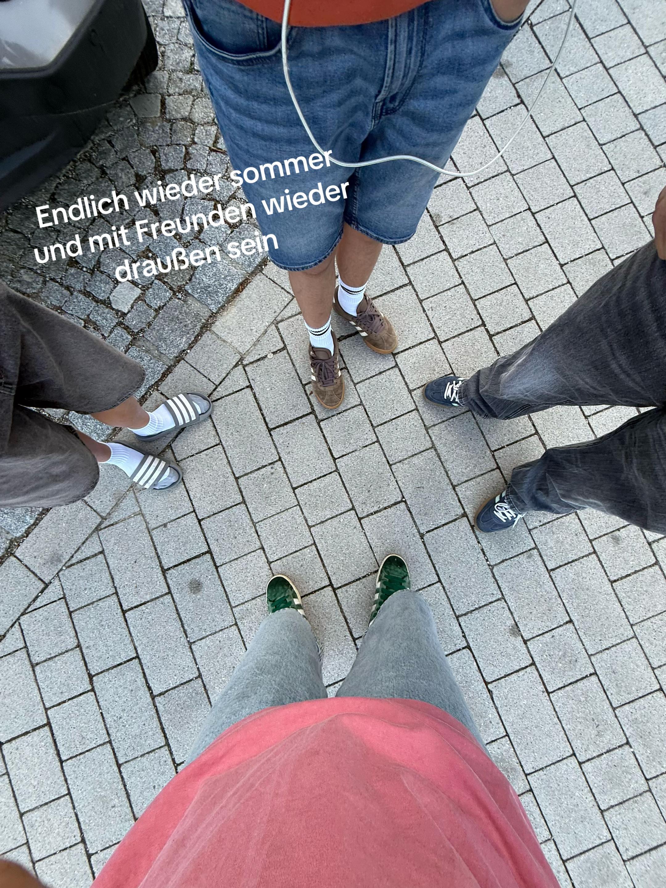 @santacruz_noah