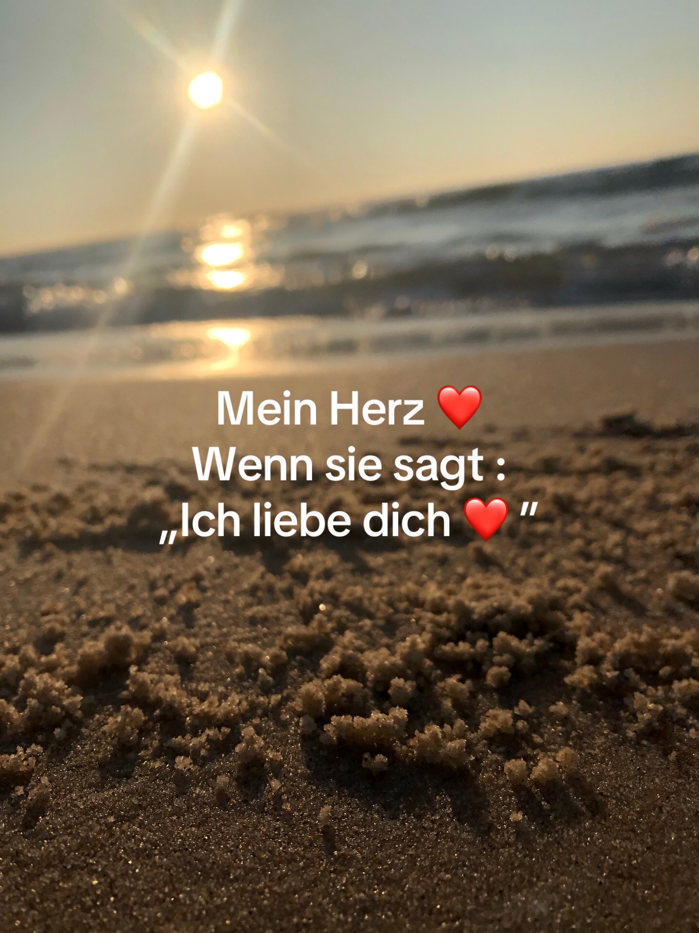 @seanf514🇩🇪