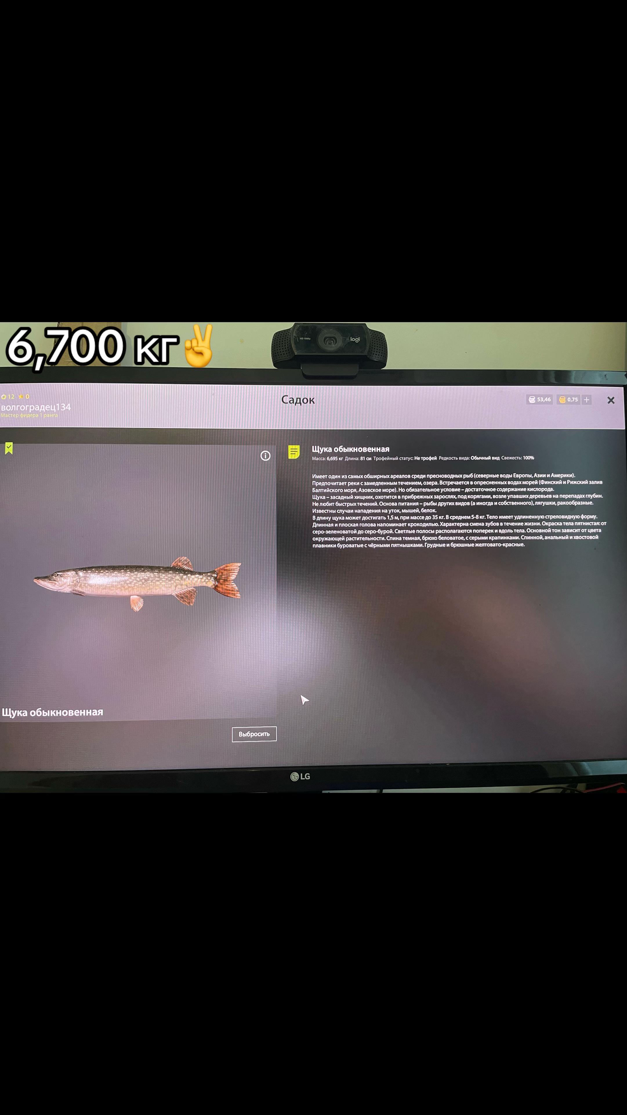 @RevoltR8