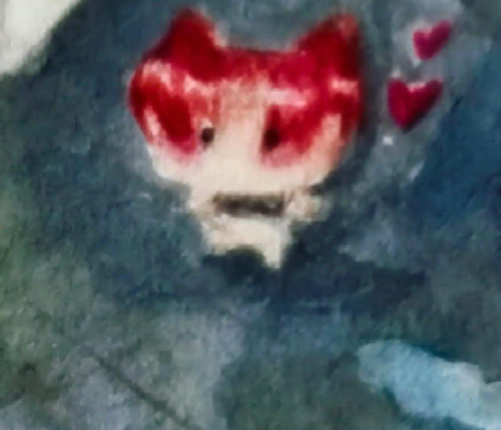 @🍄🌷(( アイナ ))💕✨