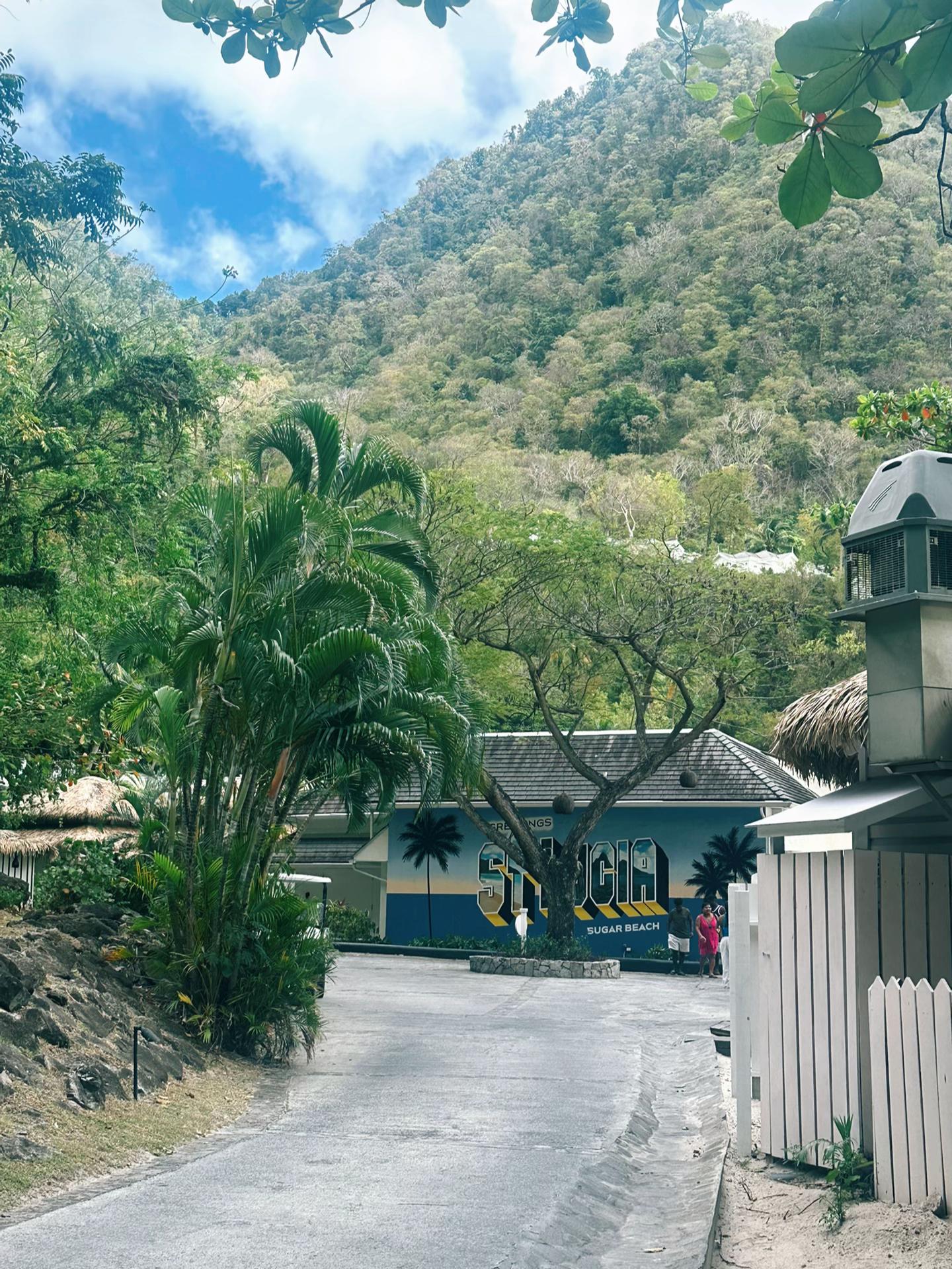 @Bri🇬🇾