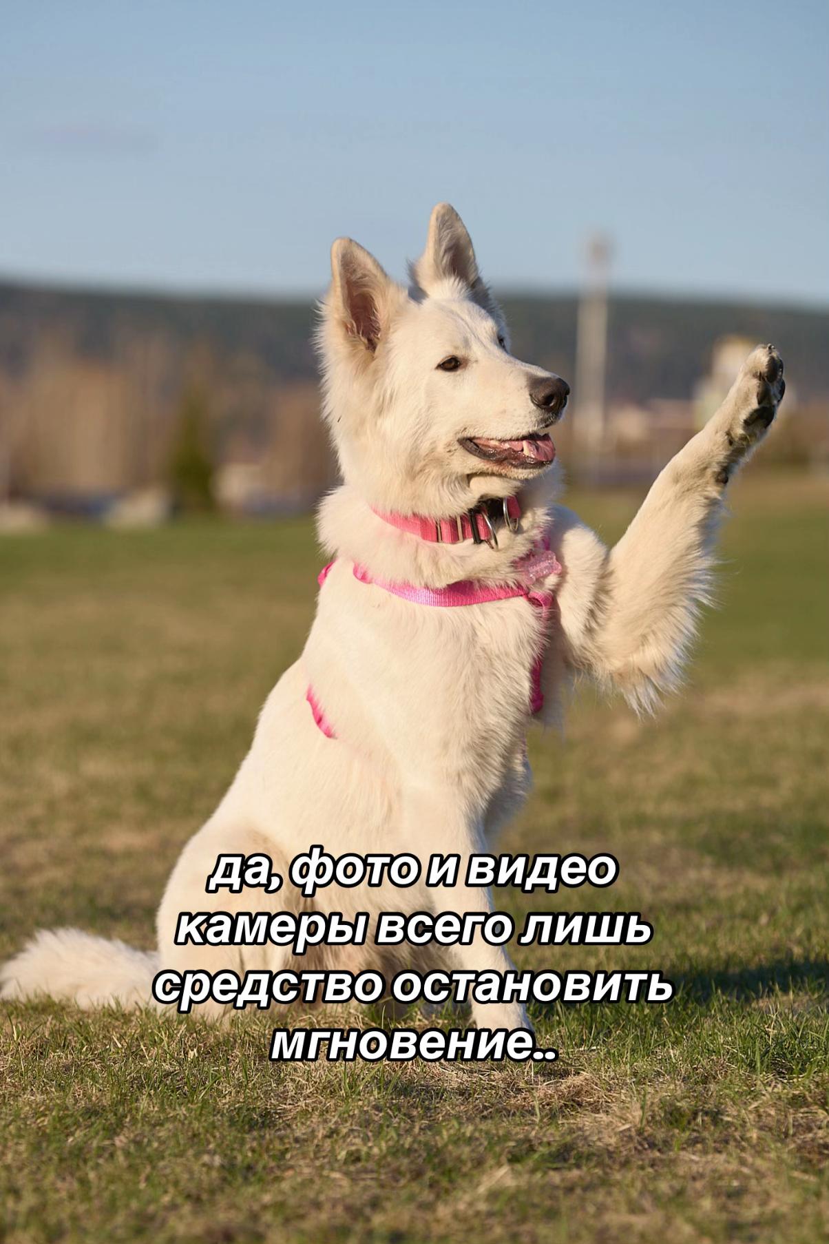 @🎀ASYA🎀 &🐶KADZU🐶