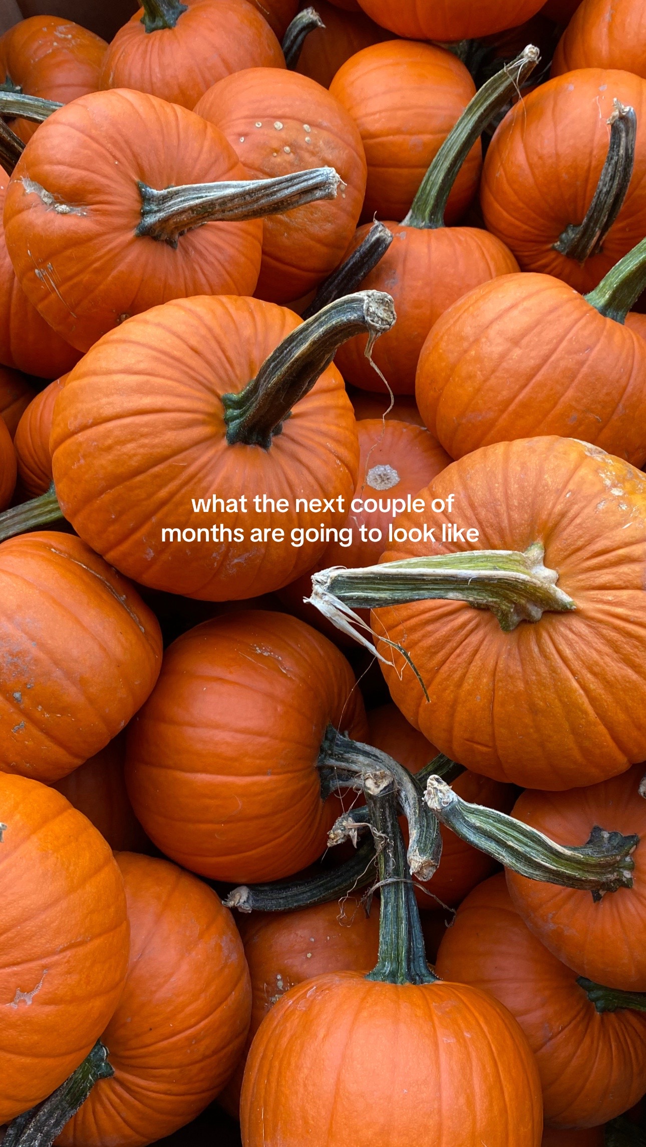 @elizgreaves