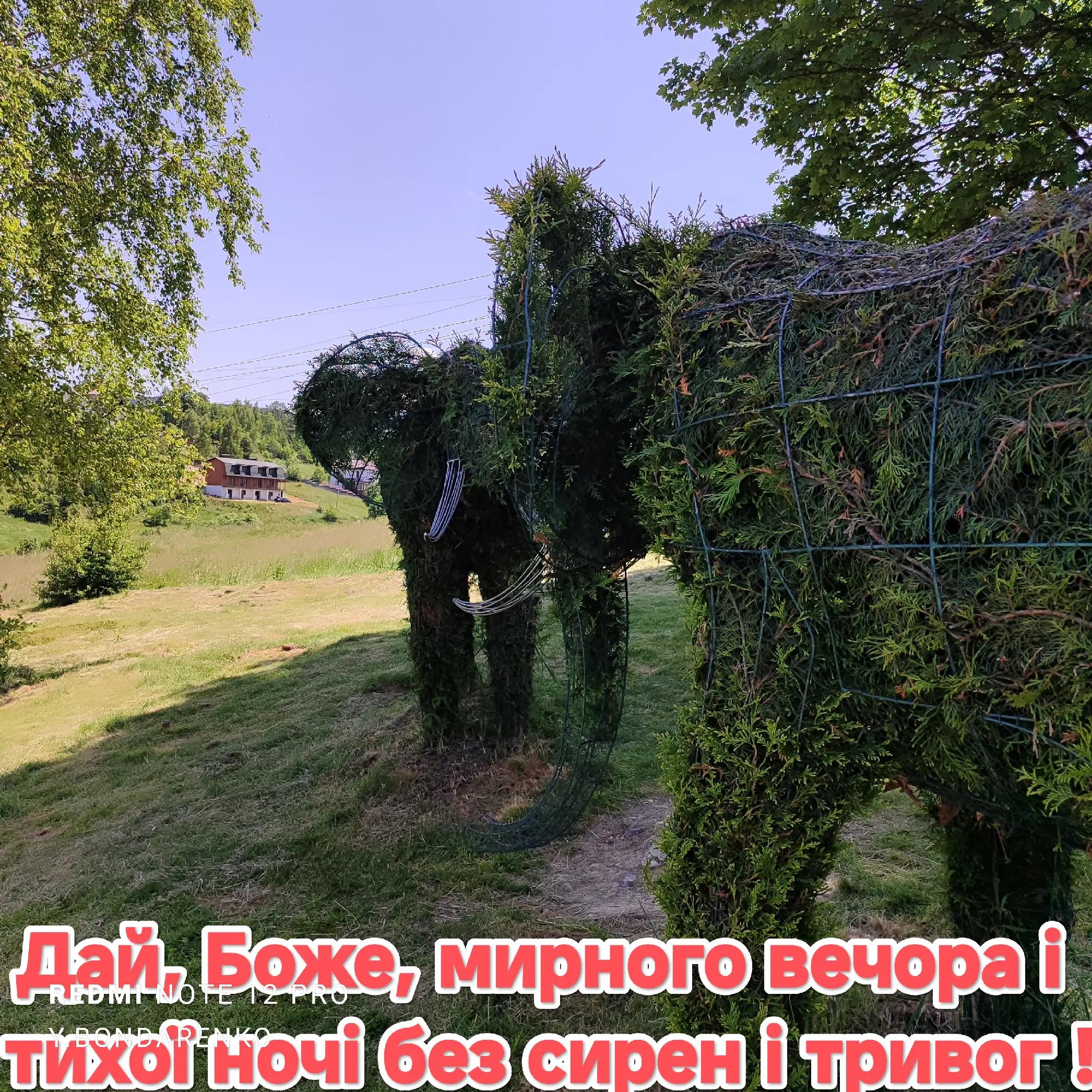 @Юрій