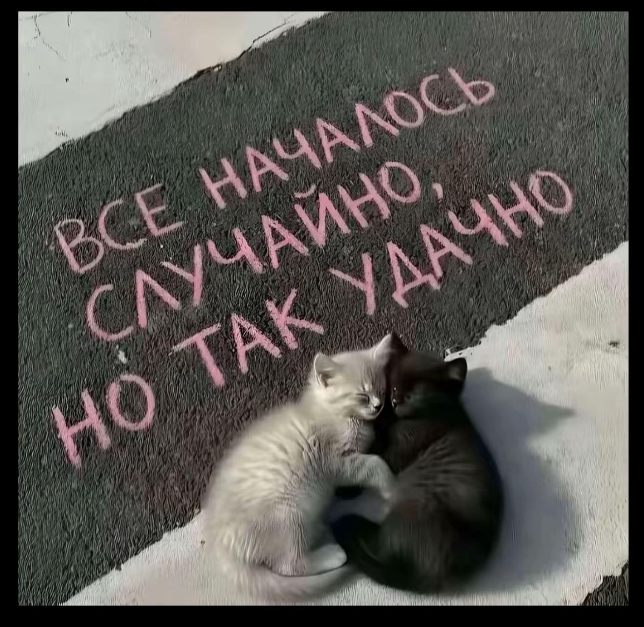 @darii_yyw🎰
