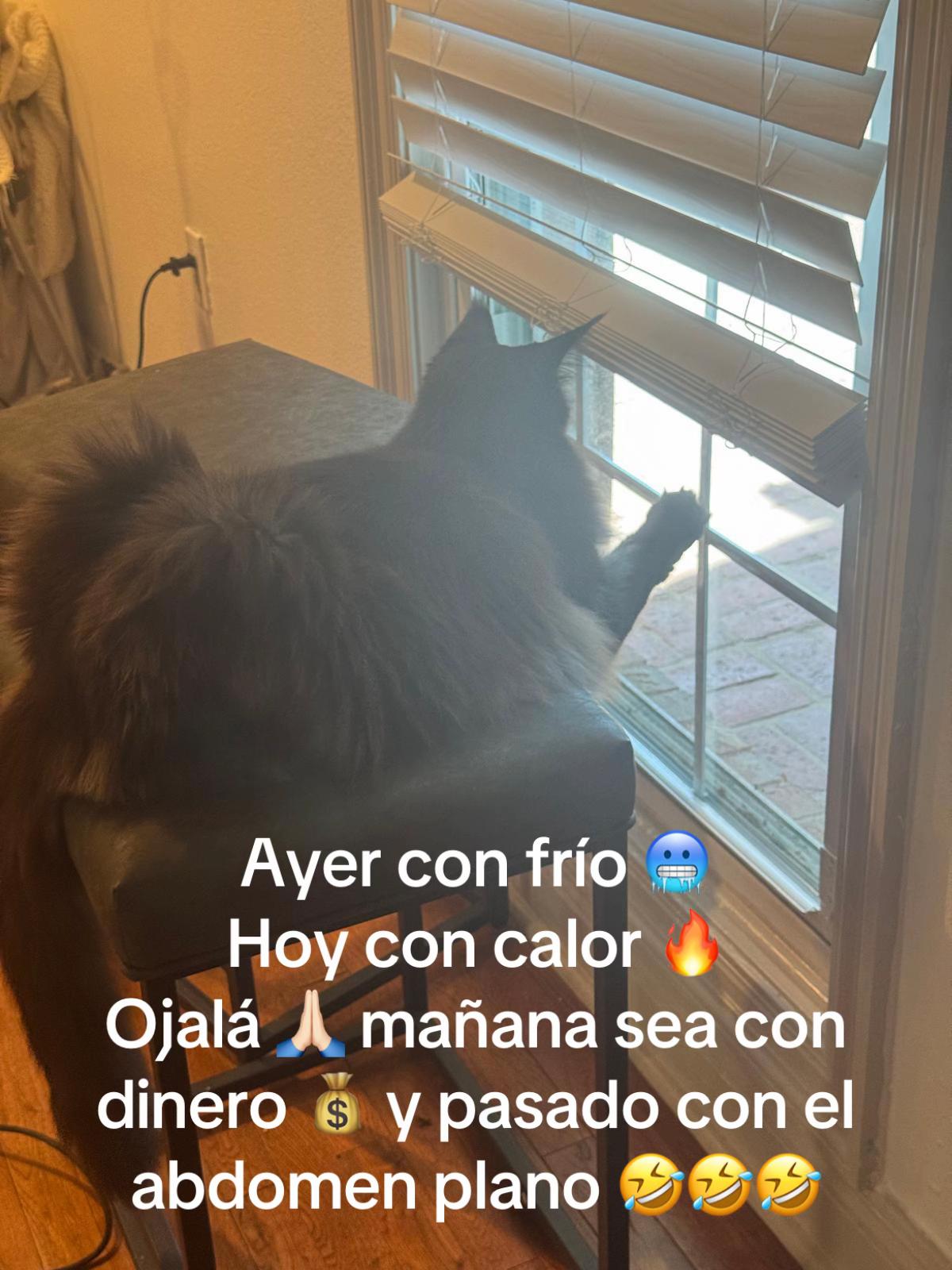 @Elsita Bejarano