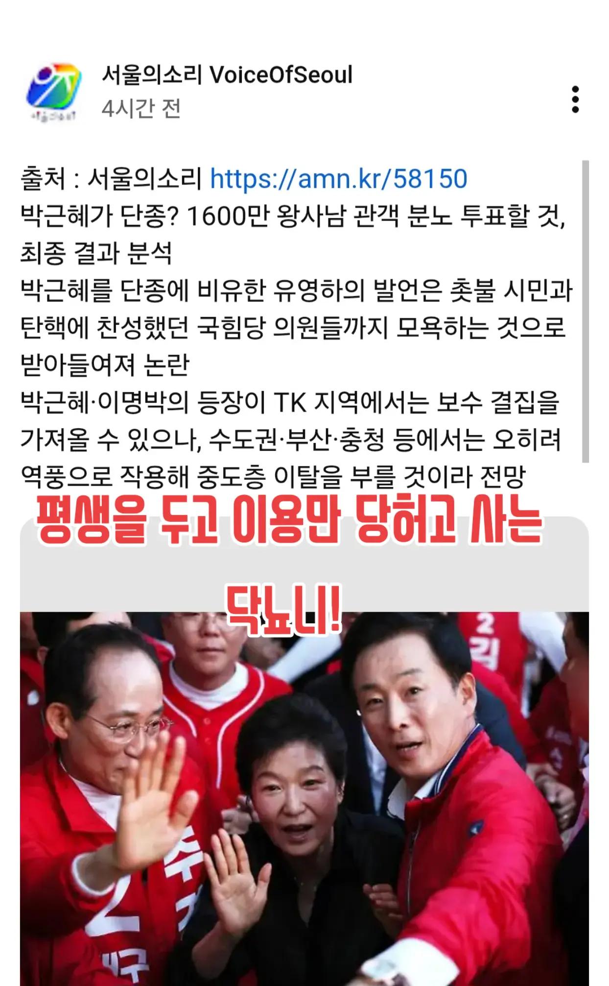 @🌺시라소니[본]🌺
