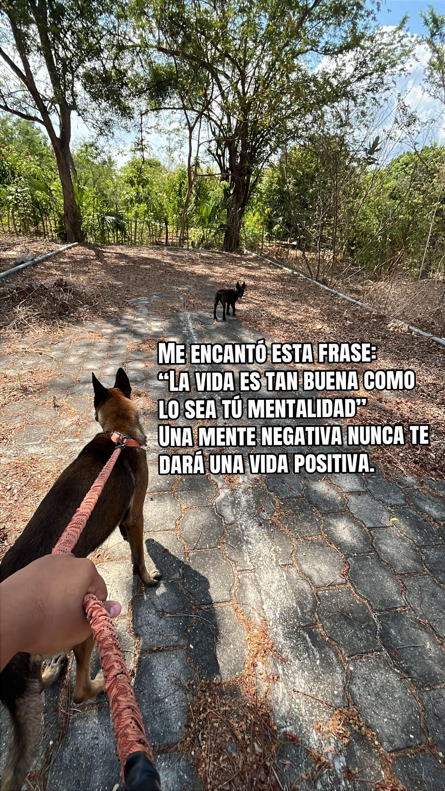 @alisdelcid0_0