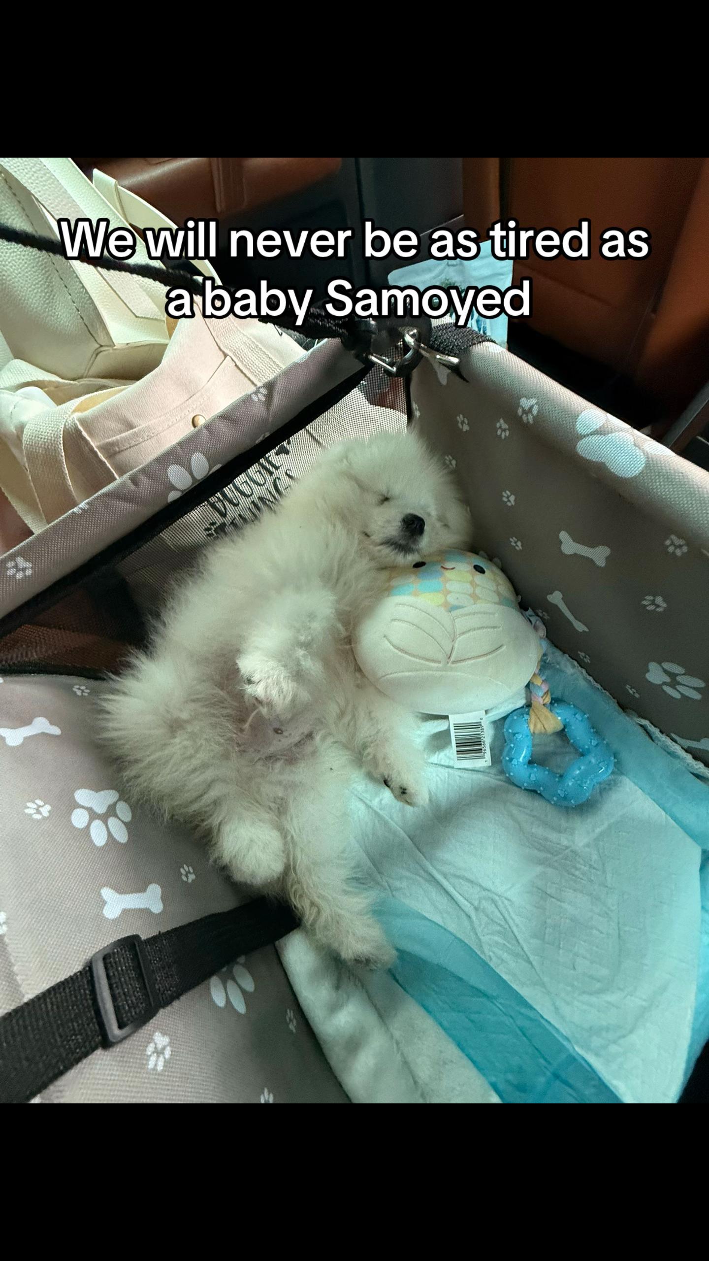@Ale