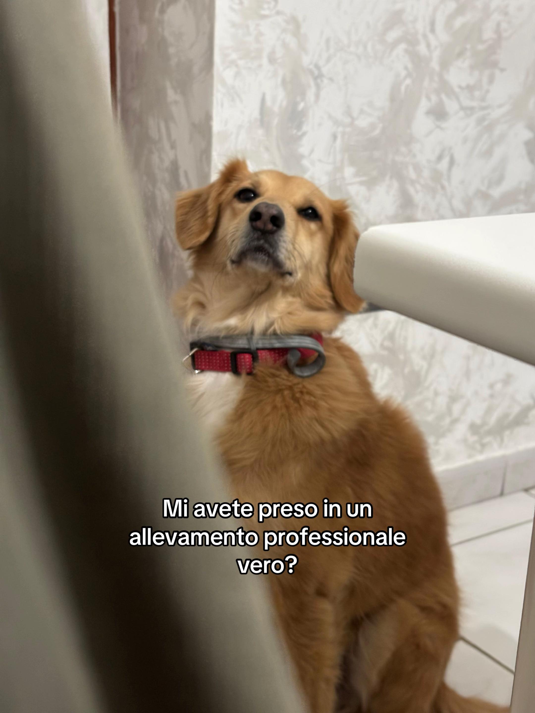 @Soyaa