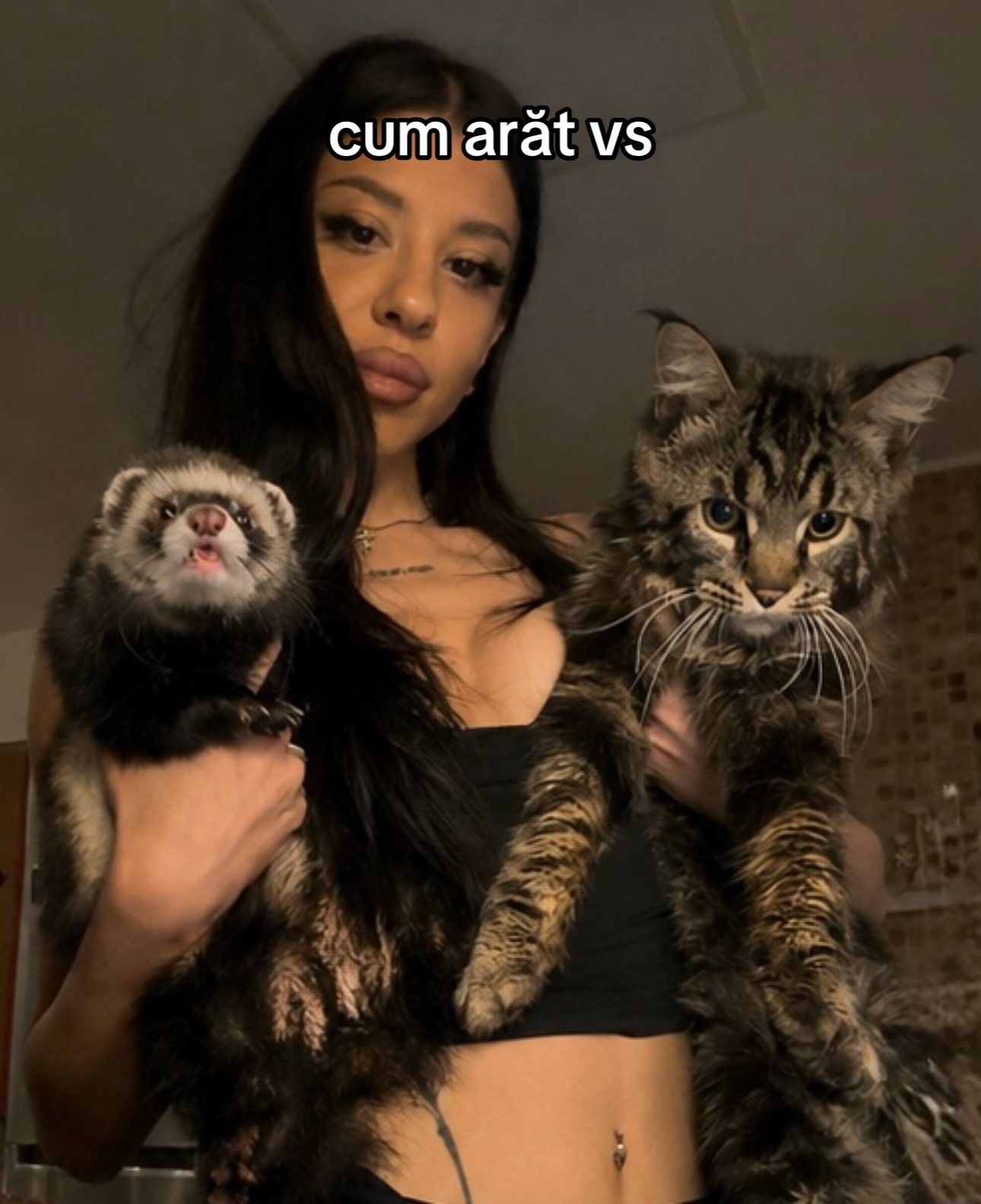 @dxdelia