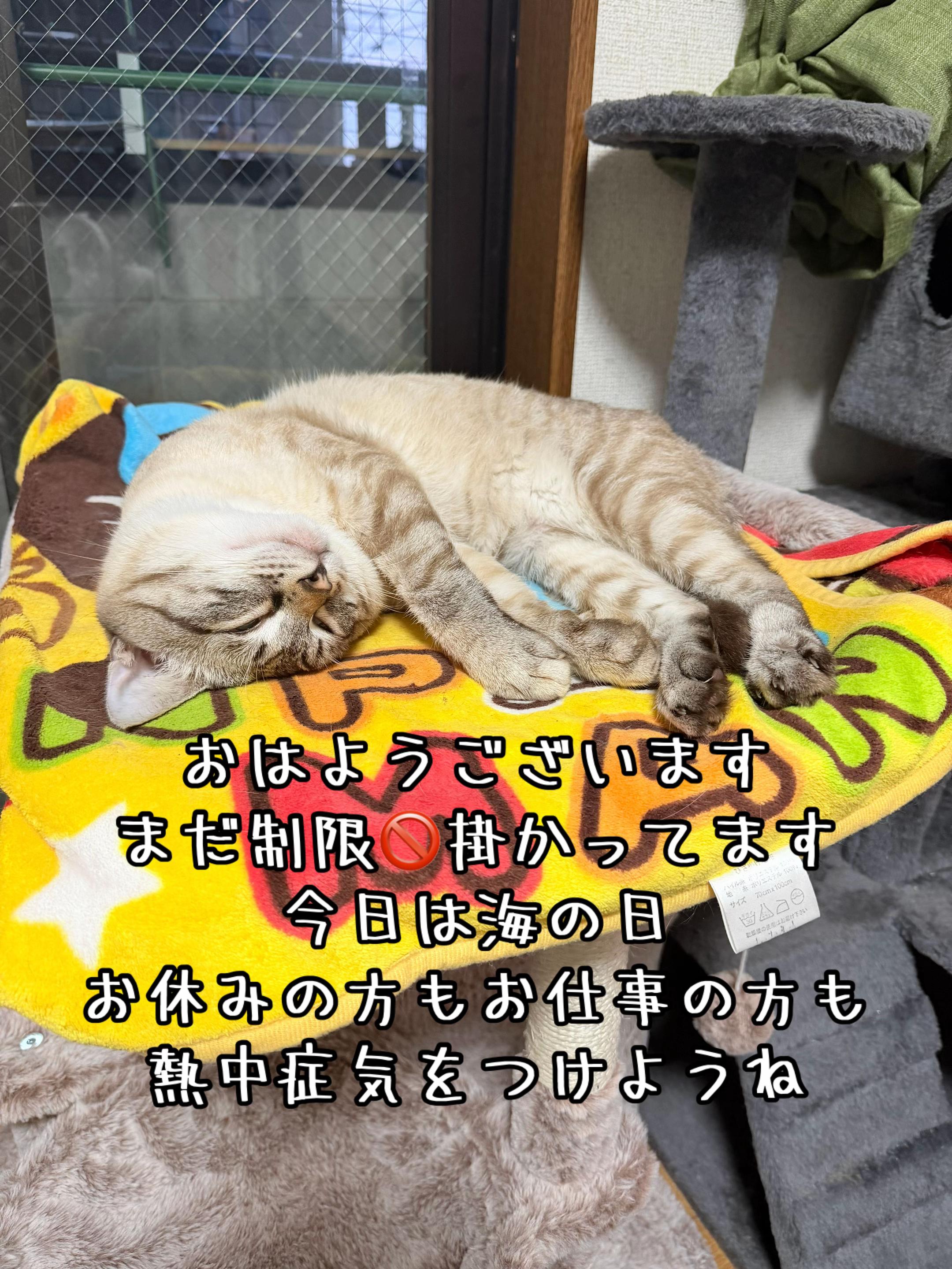 @ð¥é»æŸ€æ£å¿ð¥