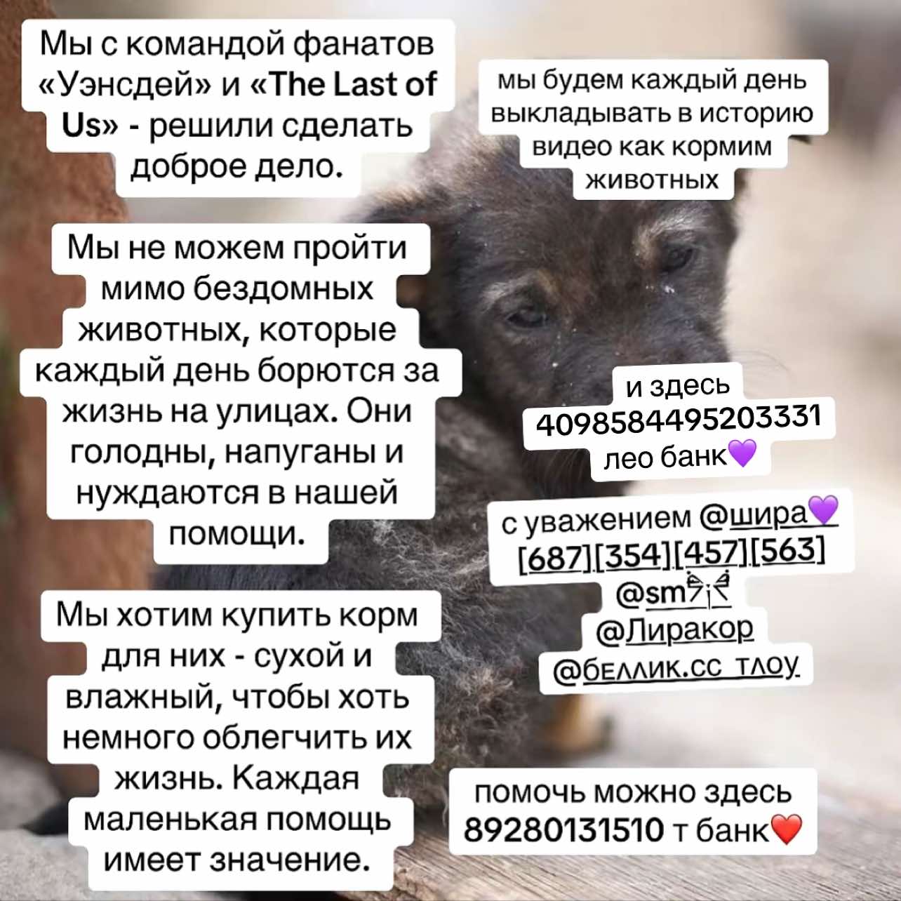 @шира💜 [687] [354] [457] [563]