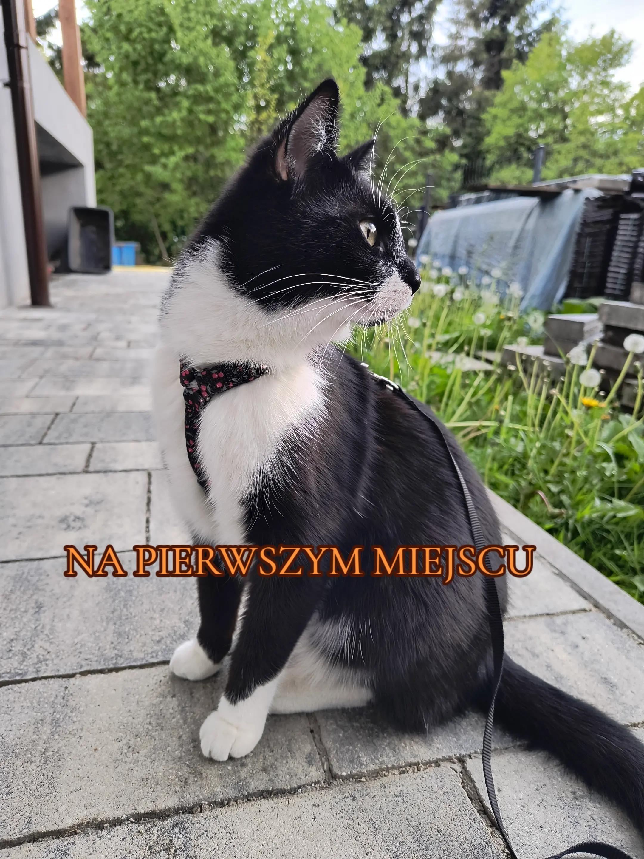 @🍓🐈&zwj;⬛𝐋𝐮𝐜𝐞𝐤/𝟏,𝟎𝐤🐈&zwj;⬛🍓