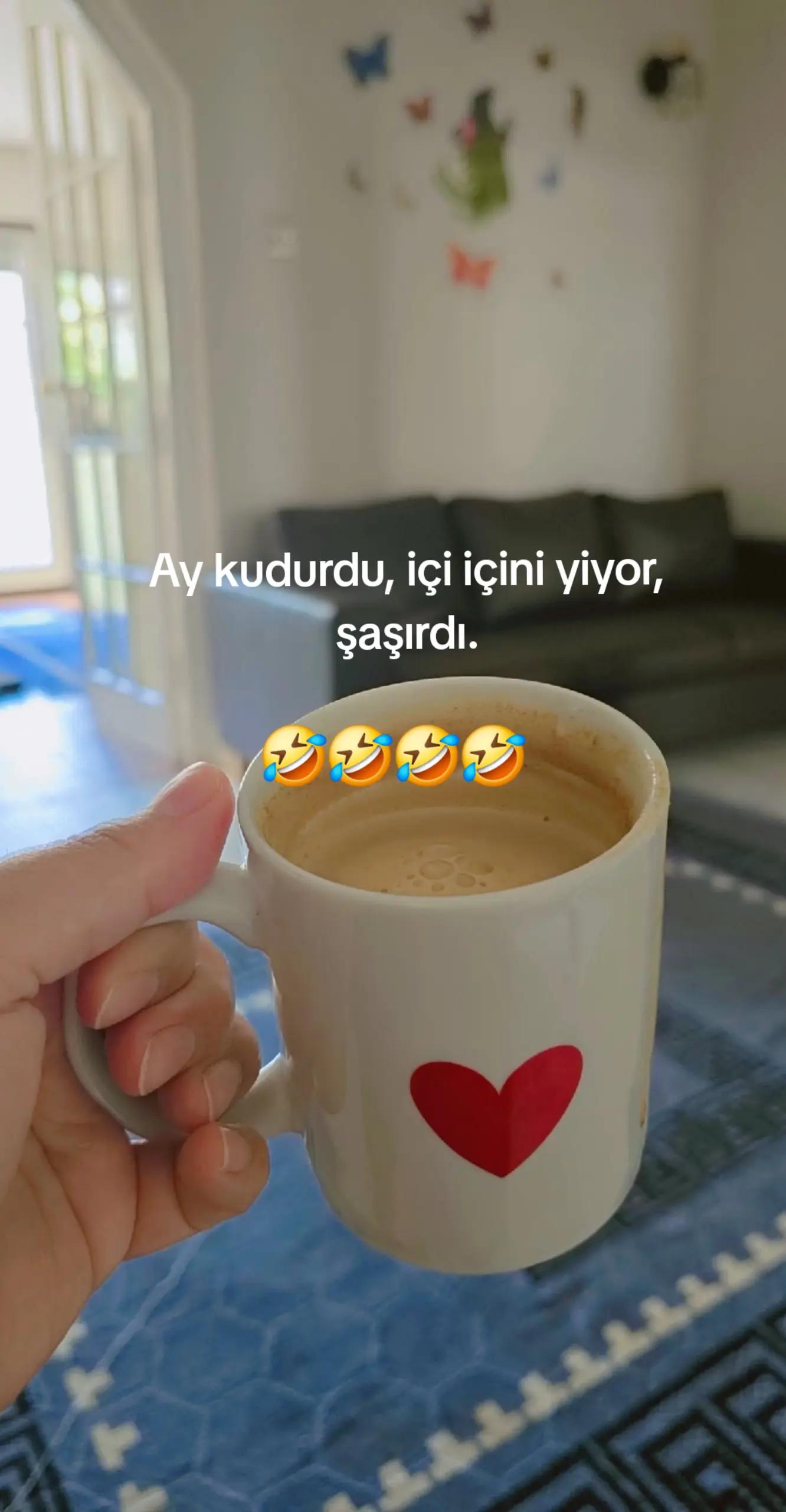 @kurali ben koyarim sen izlersn