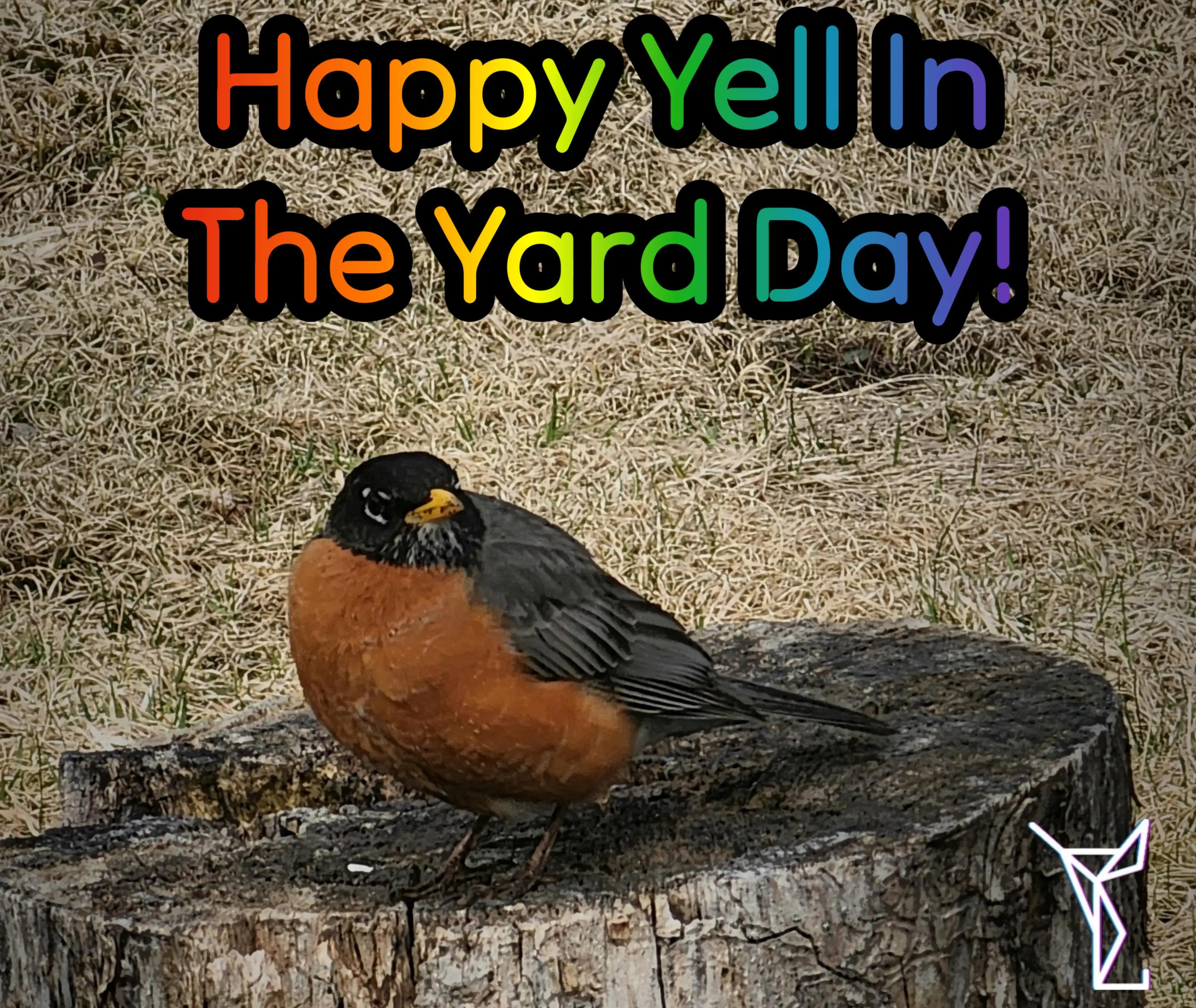 @Yabadaba_dyl
