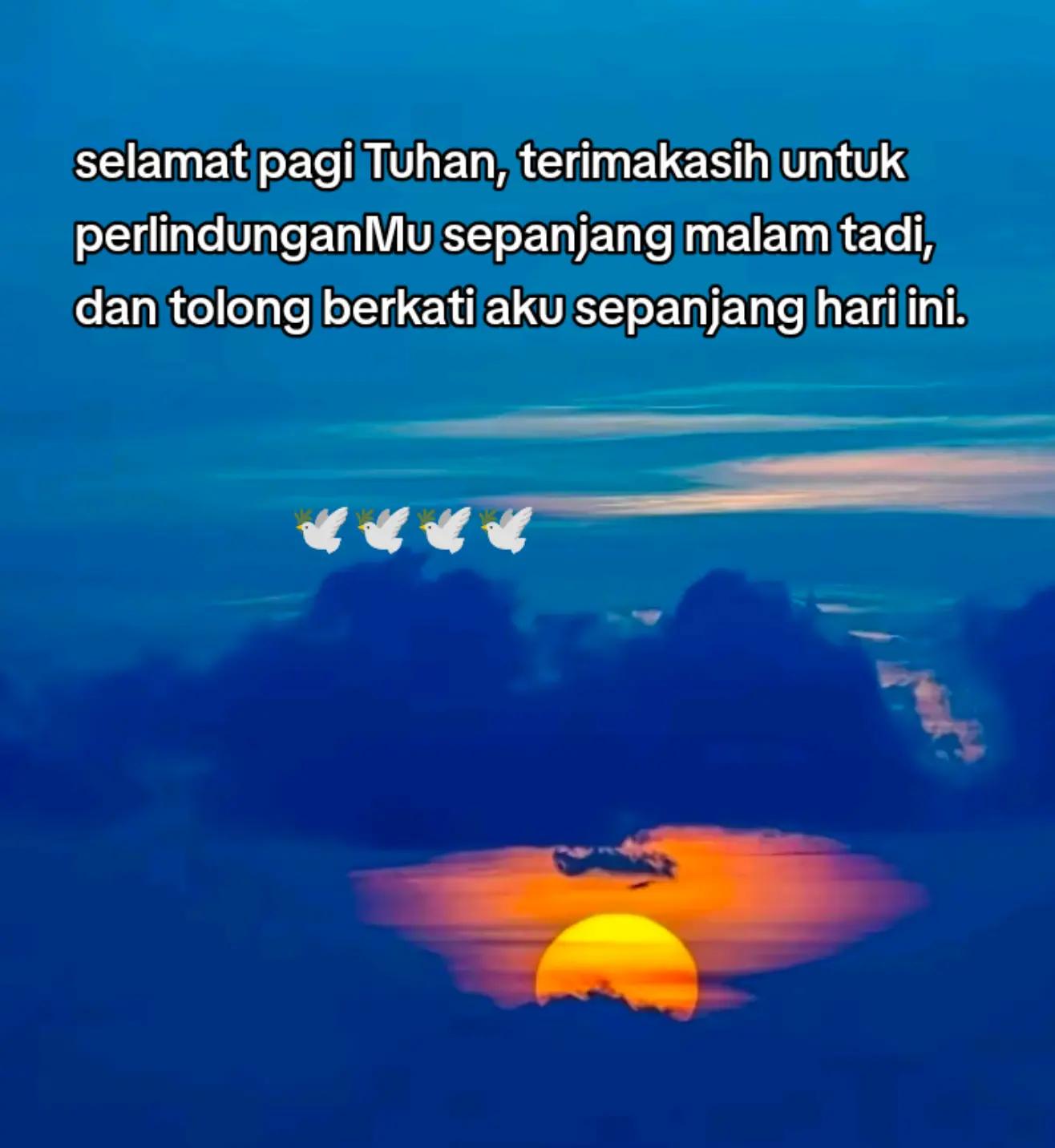 @@rego