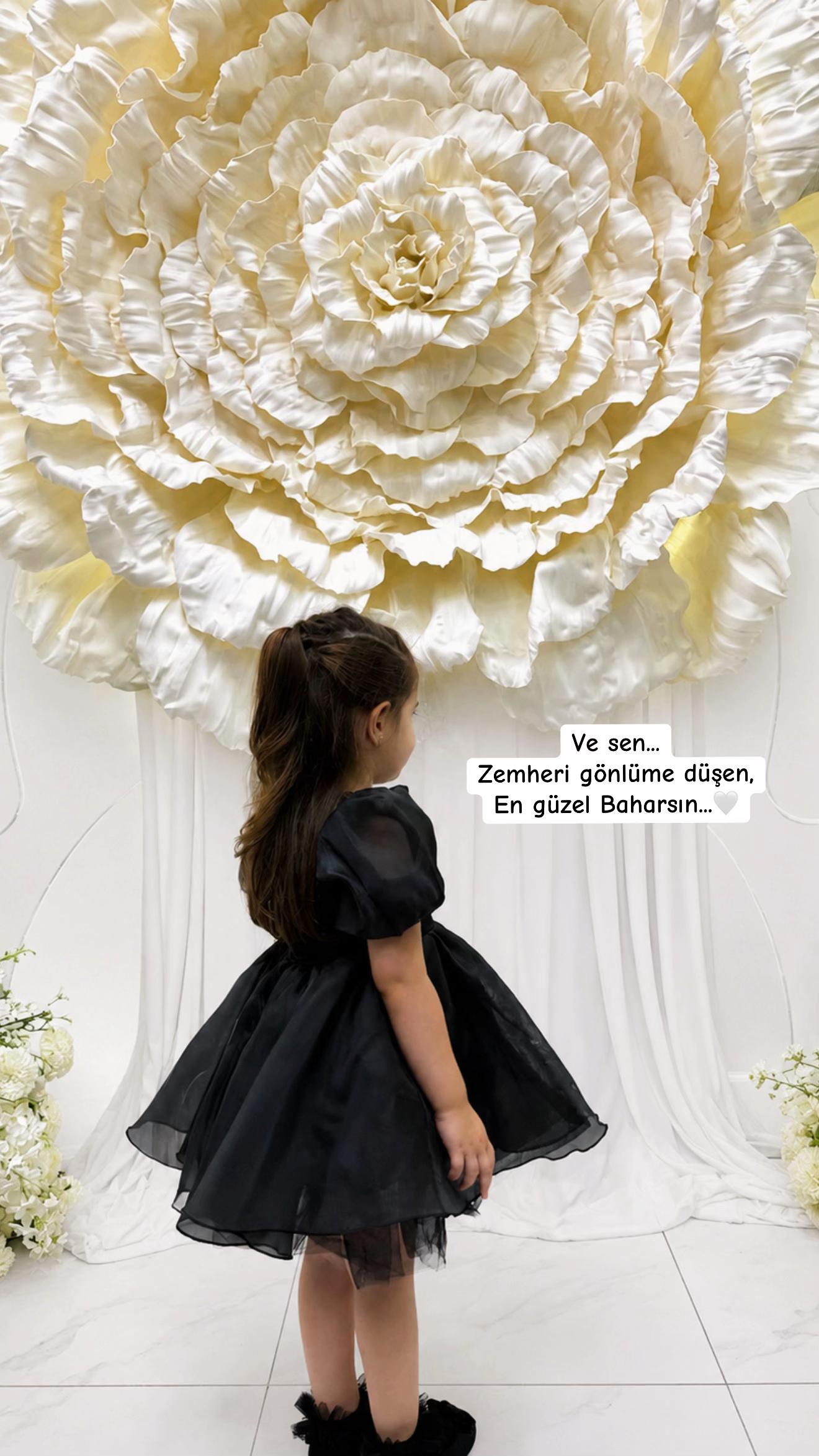 @🕊️