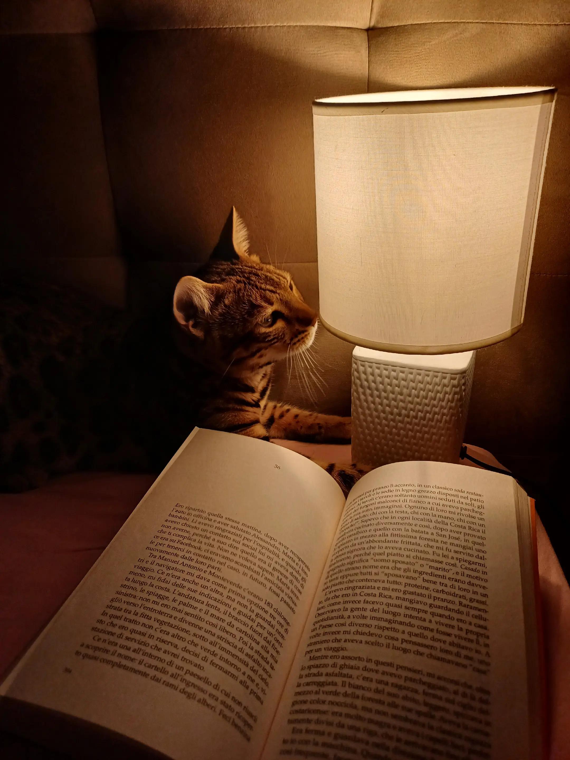 @Rio.supercat