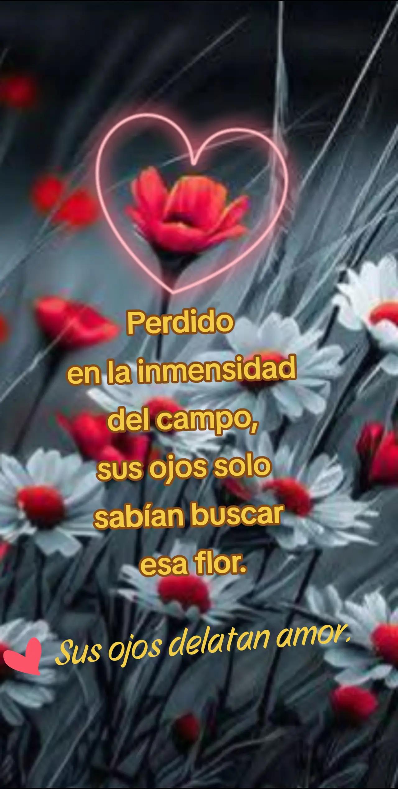 @Art11