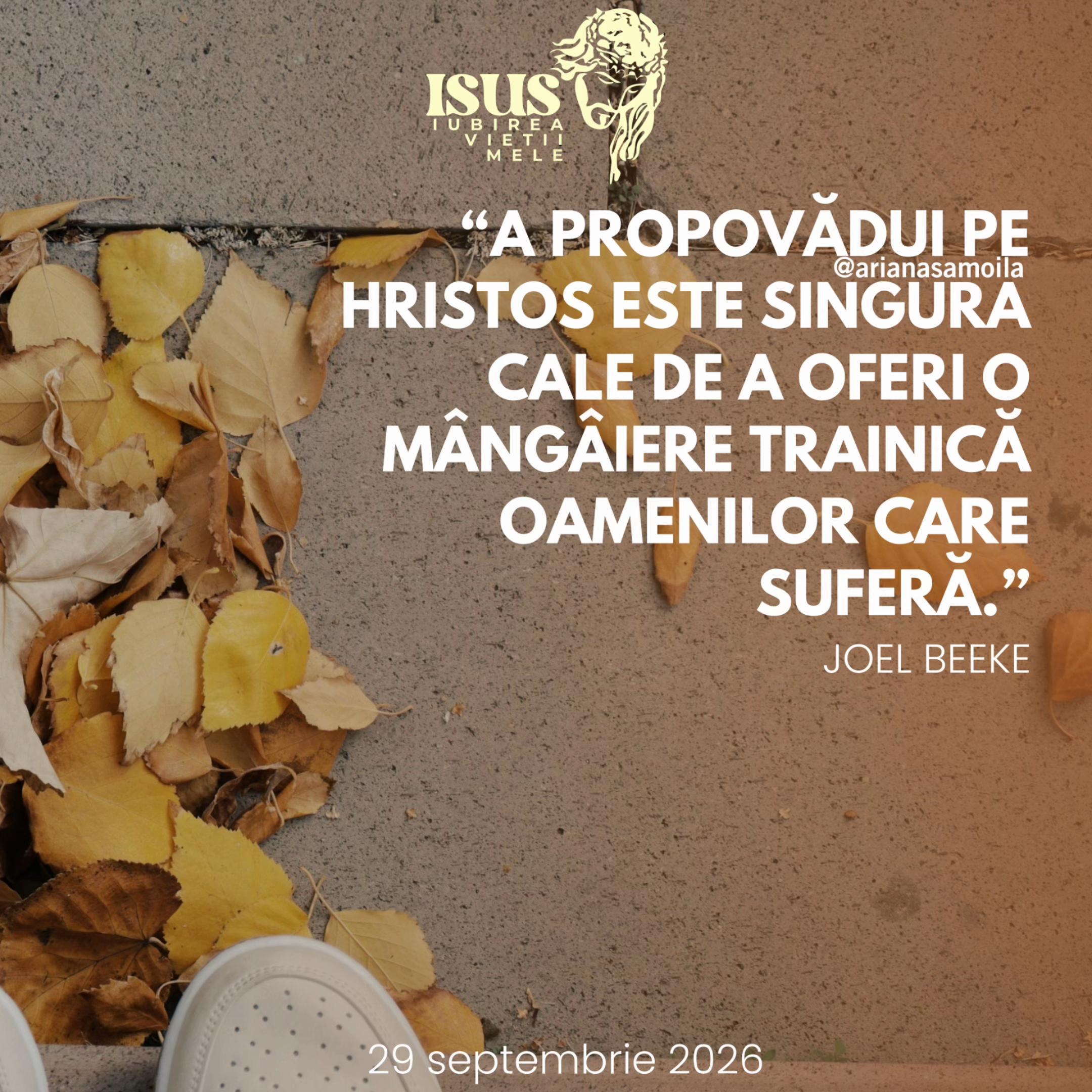 @Ariana Samoilă