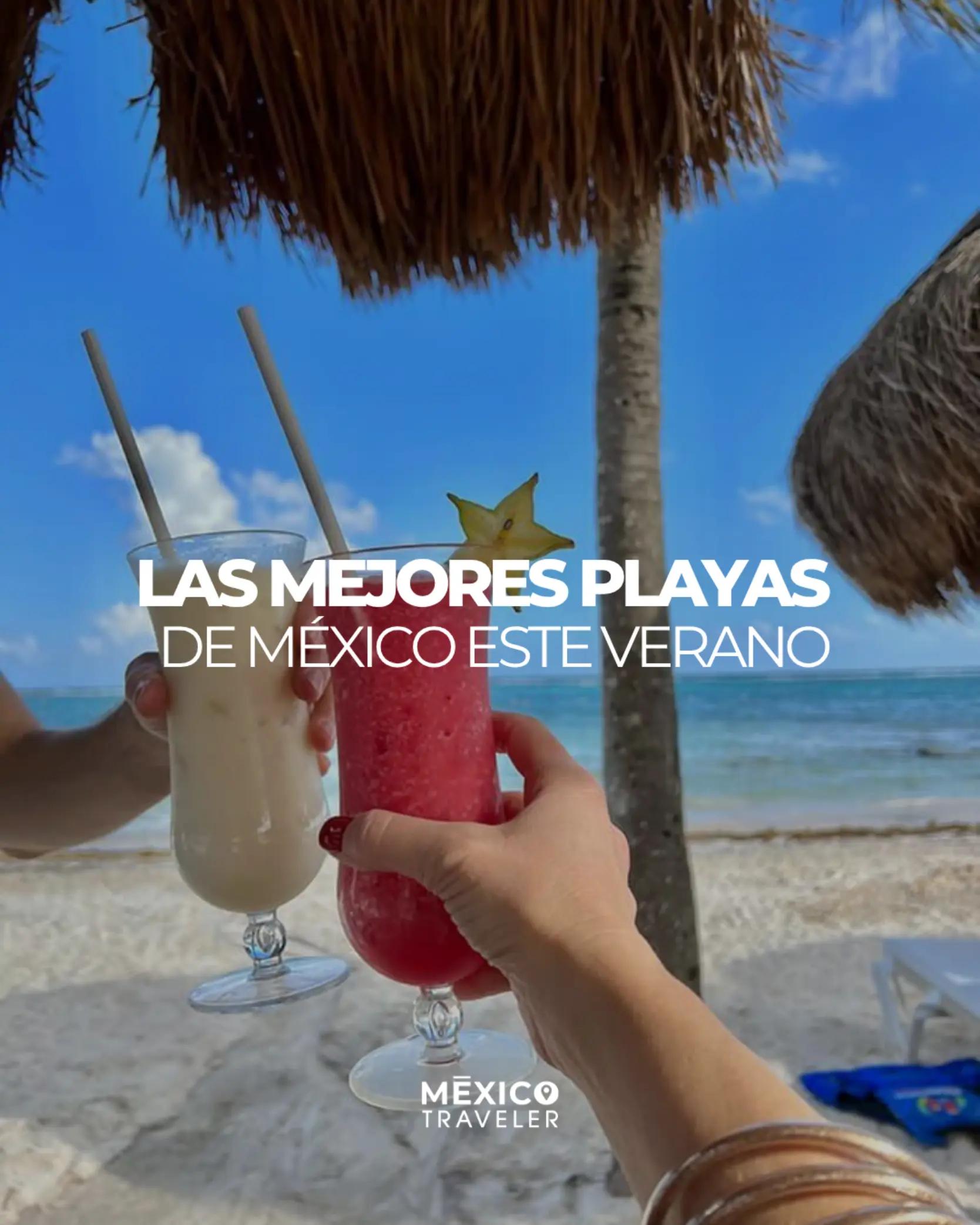 @México Traveler