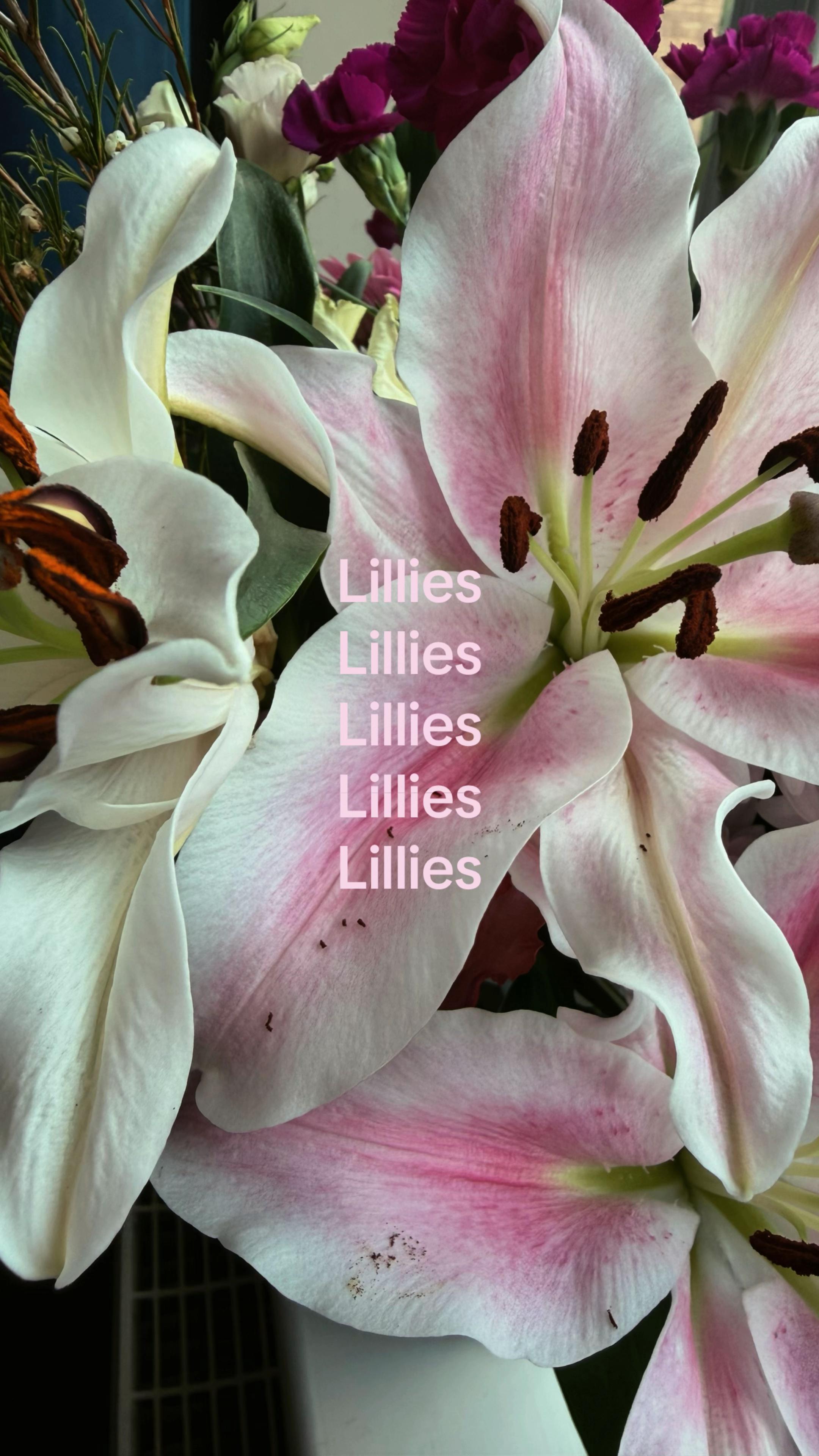 @𝐘𝐀𝐙
