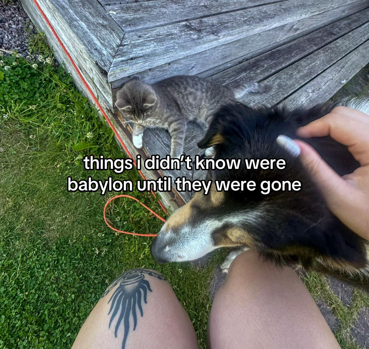 @jess 🐇★