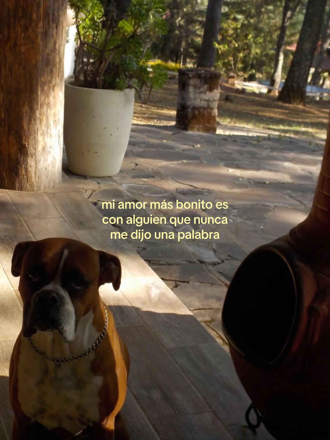 @serg¡o