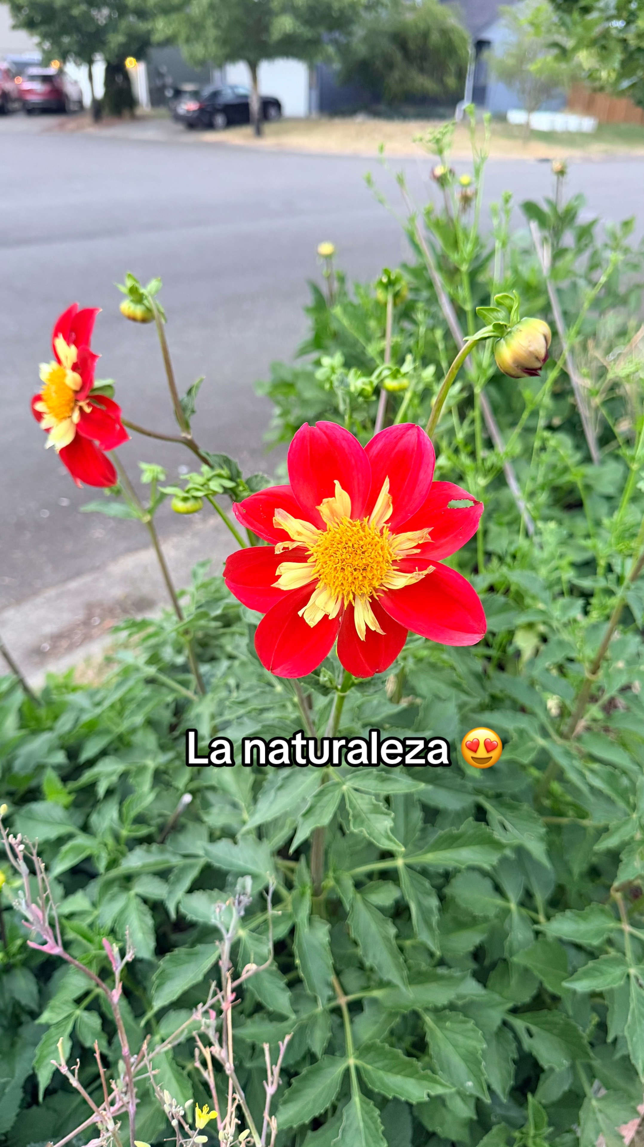 @EJ Llaverias