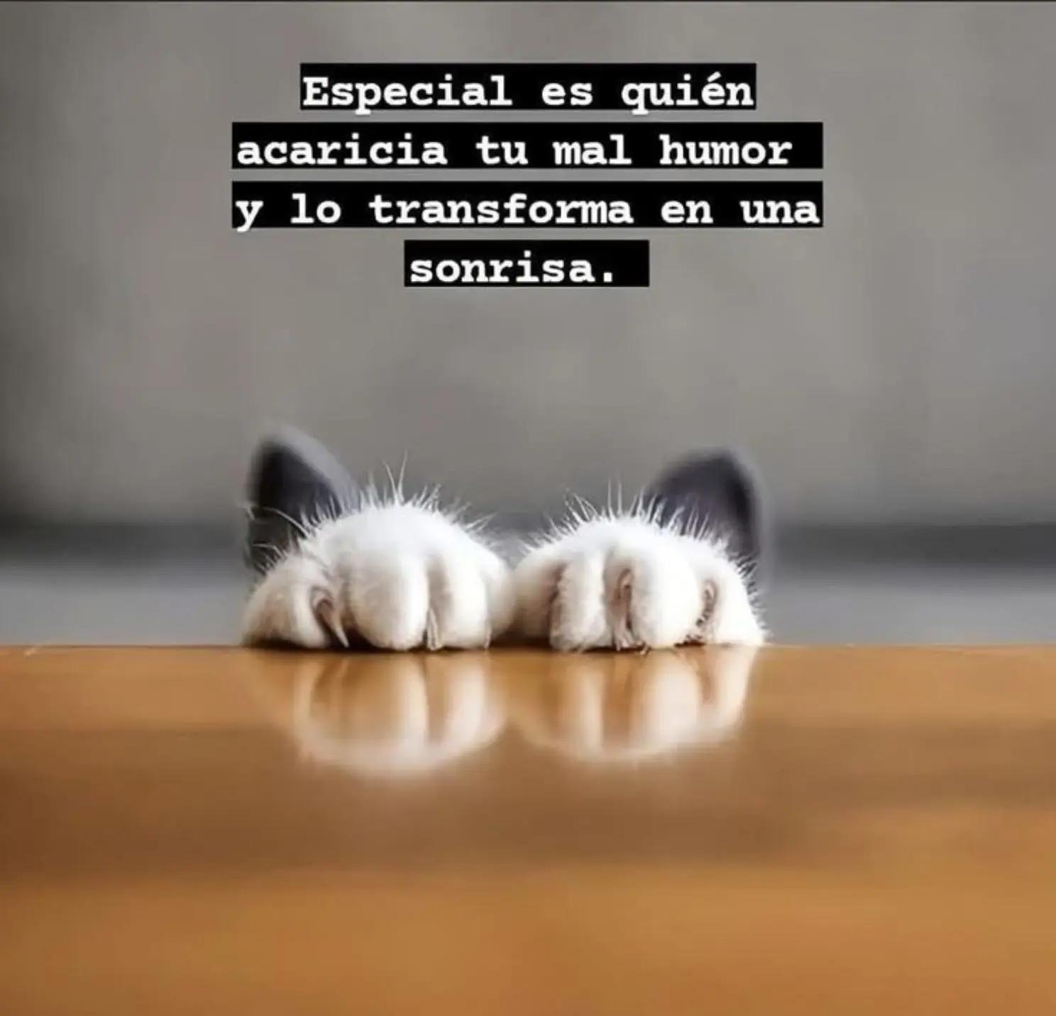 @Ingrid Moreno
