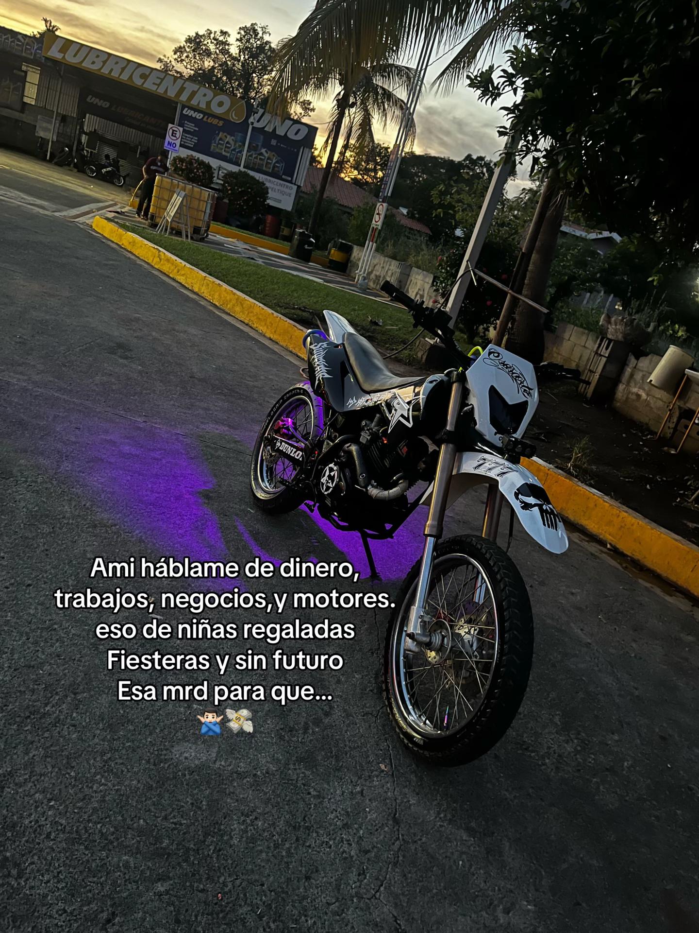 @Nelson 🦍