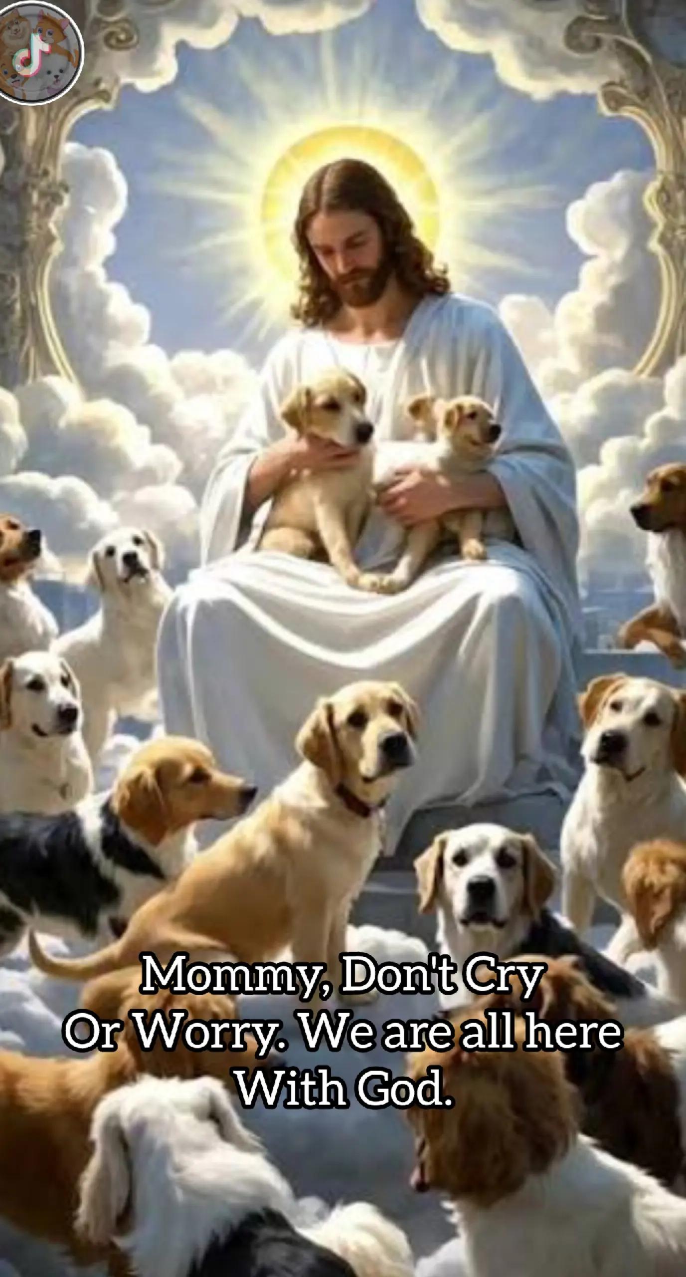 @Petscentralorg DLM Foundation
