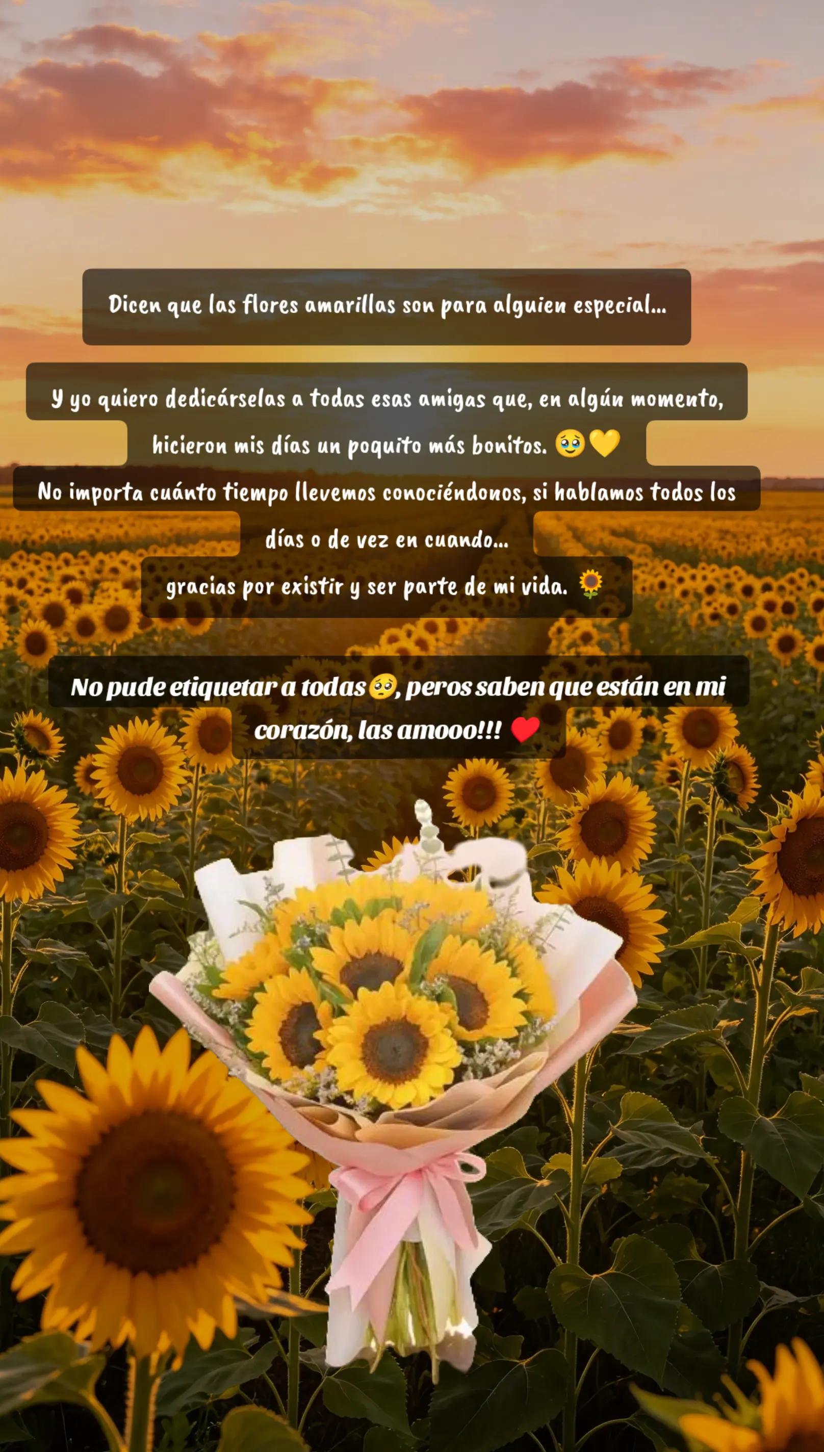 @🎙️Jim de Jimena✨🤍🐻❄️👑🦘🐮