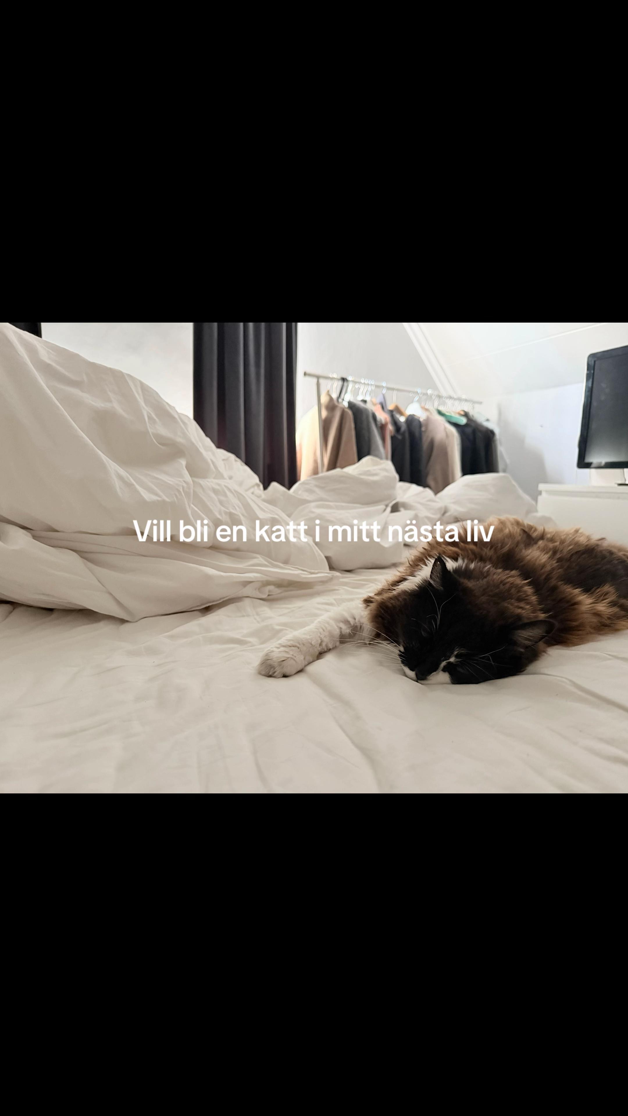 @utkast