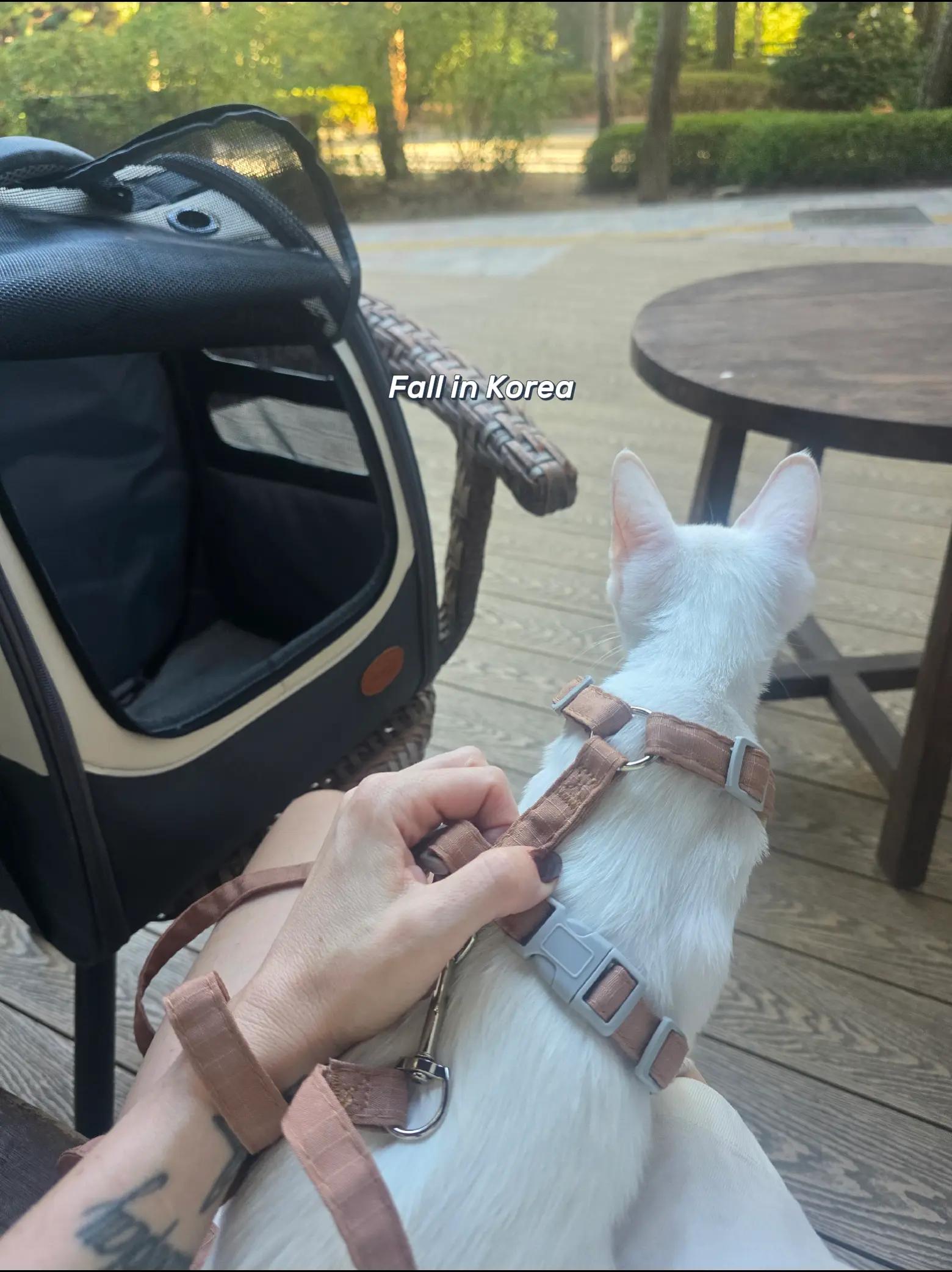 @Jaime 🧿