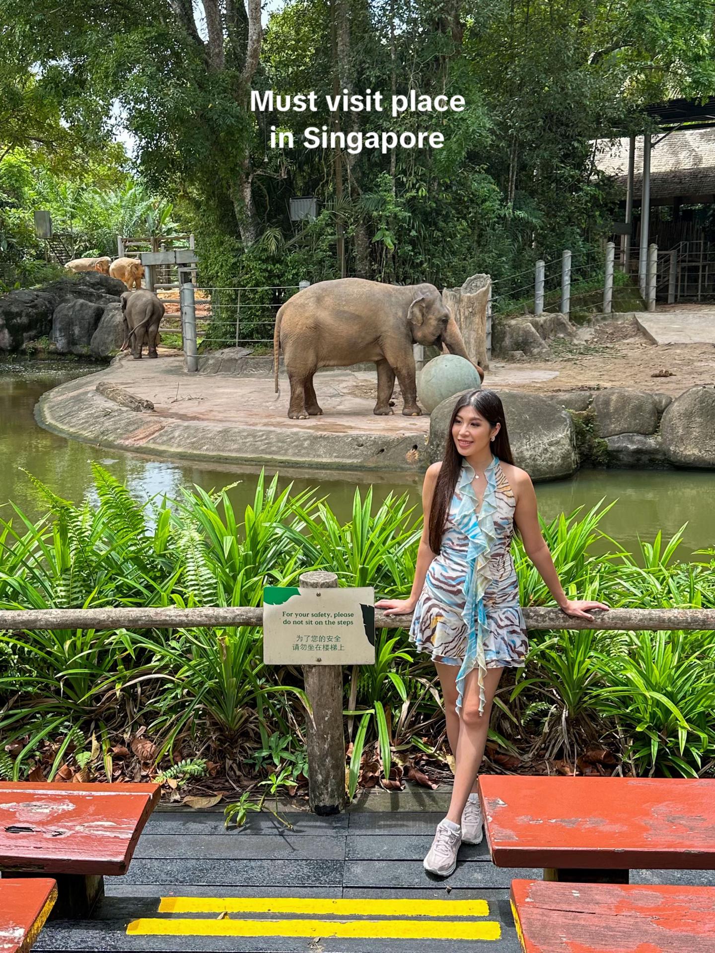 @Travel with Serene