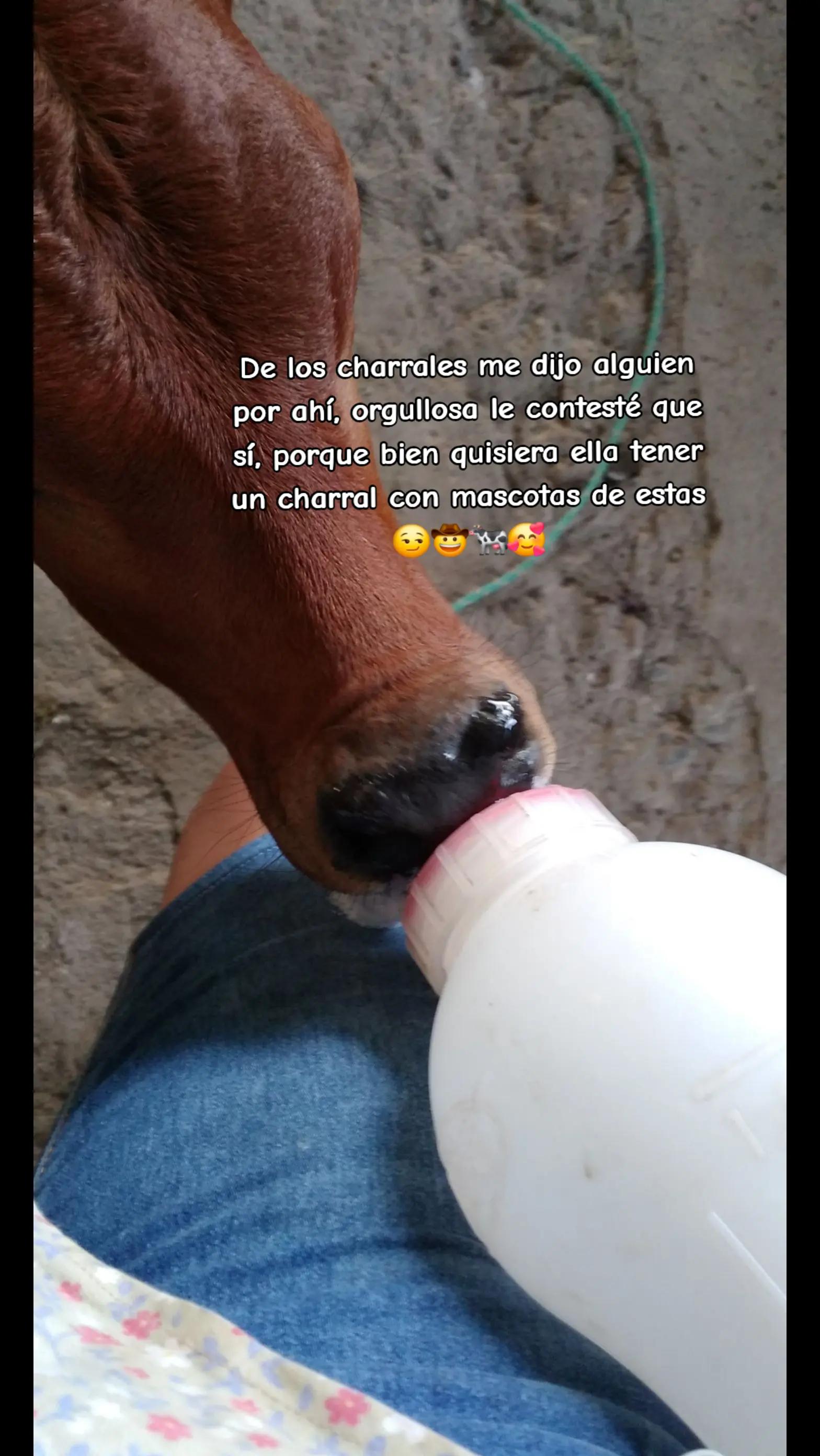 @PaolaAguirre777