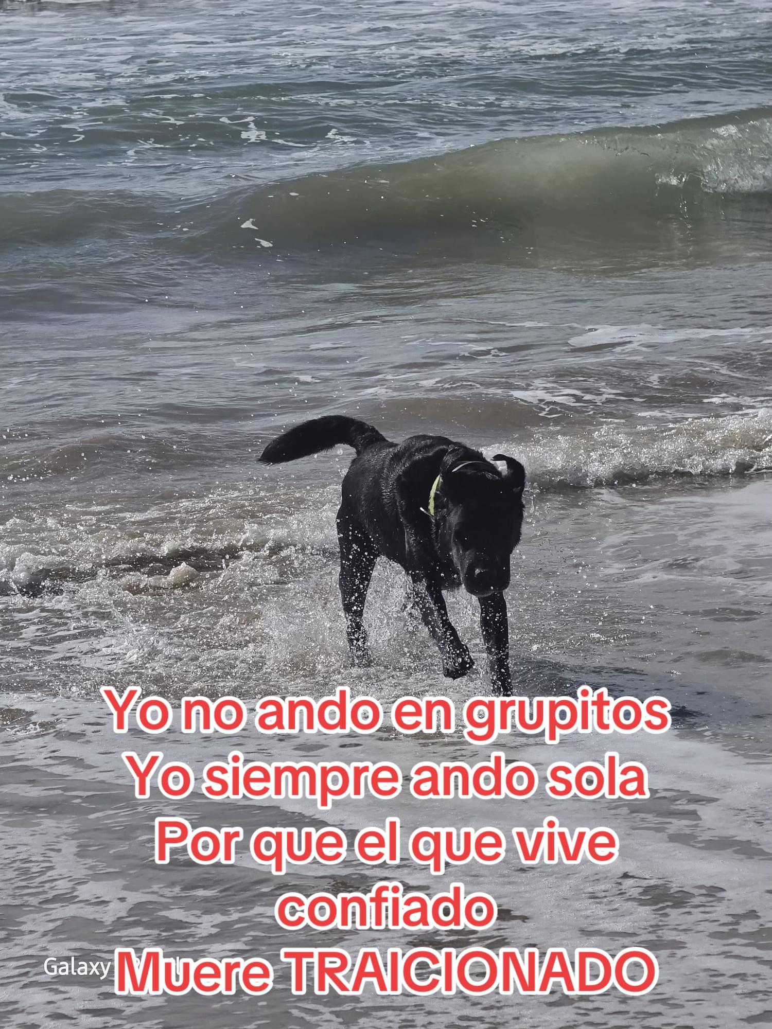 @Elsita Bejarano