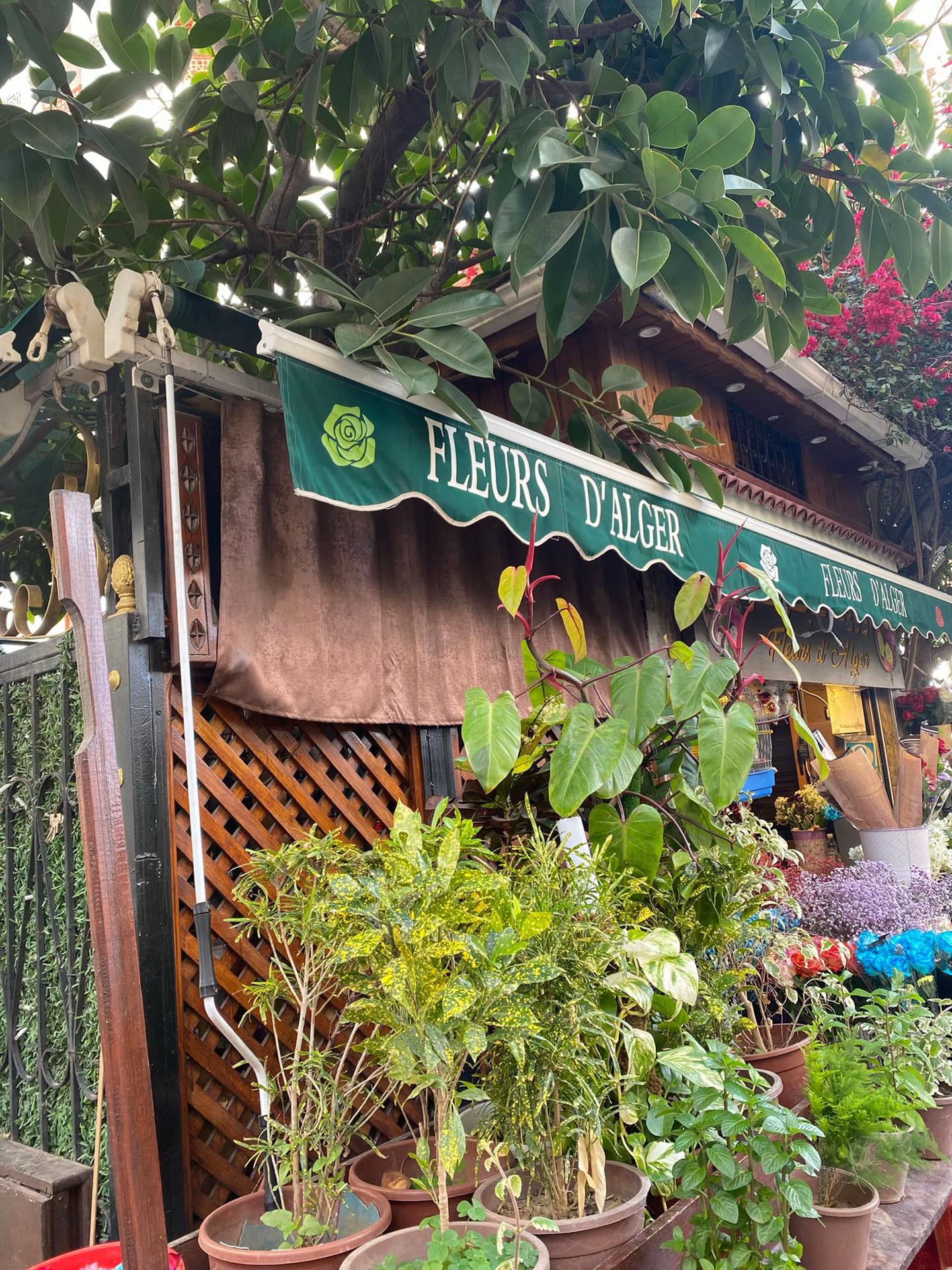 @La lilou