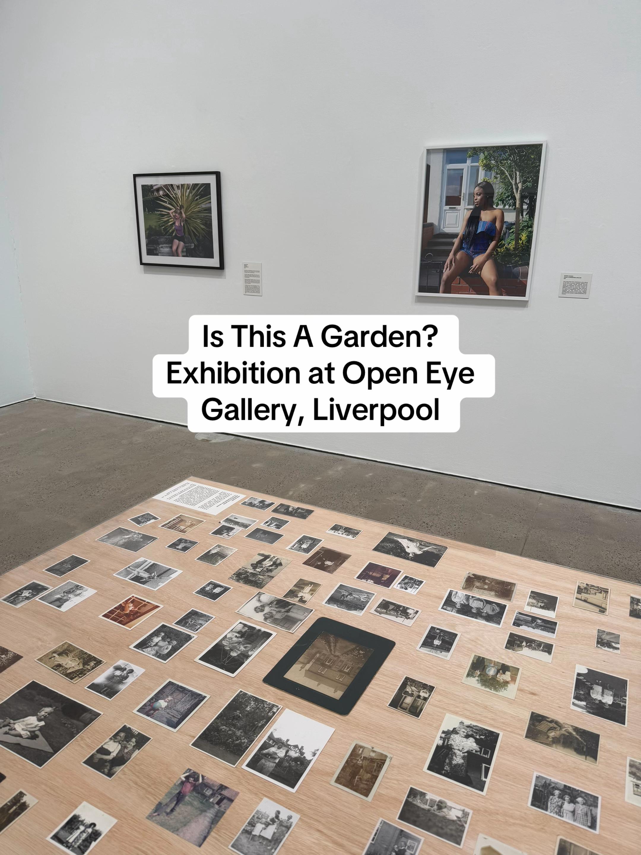 @Lucy Evans | Artist