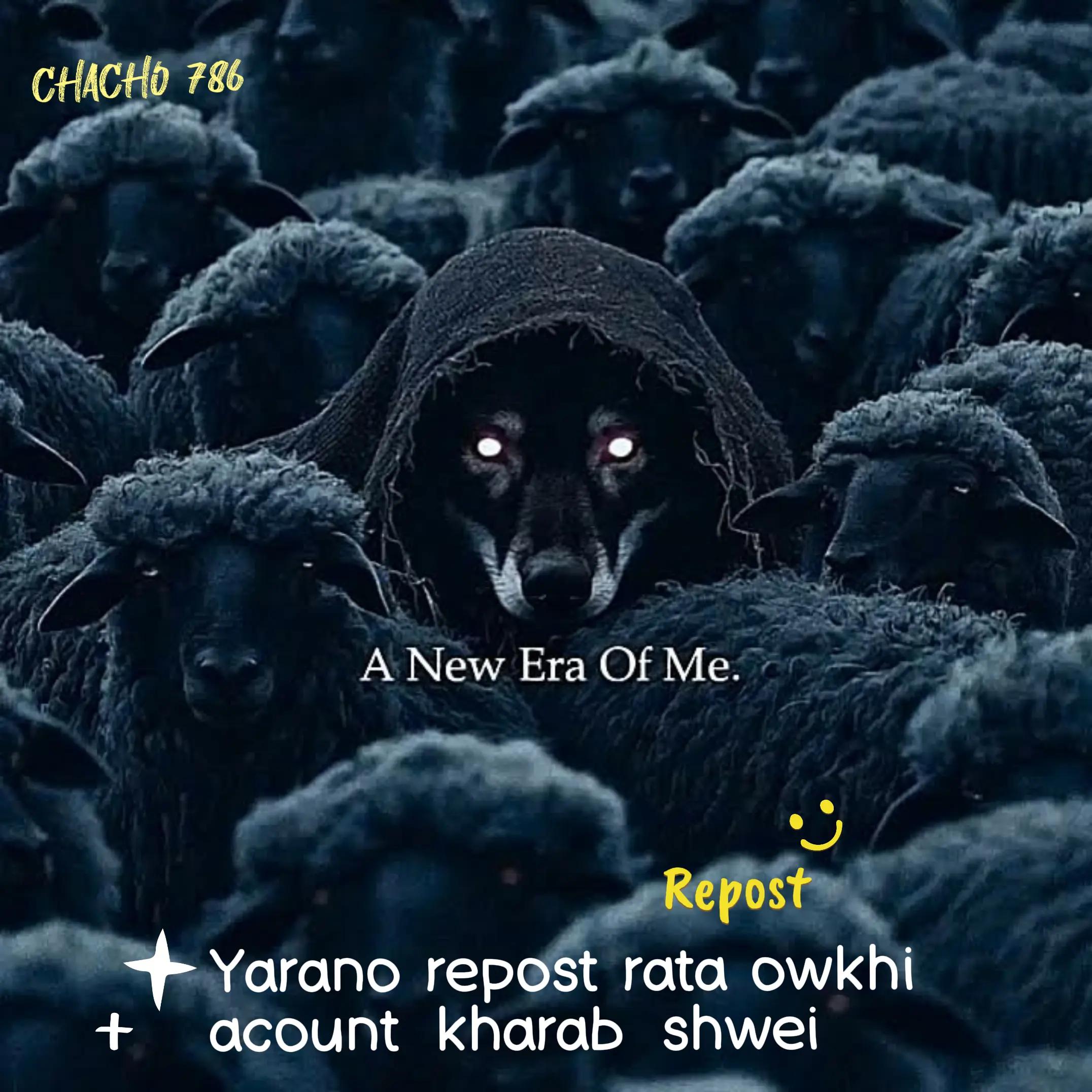 @CHACHO🦋 786🚩